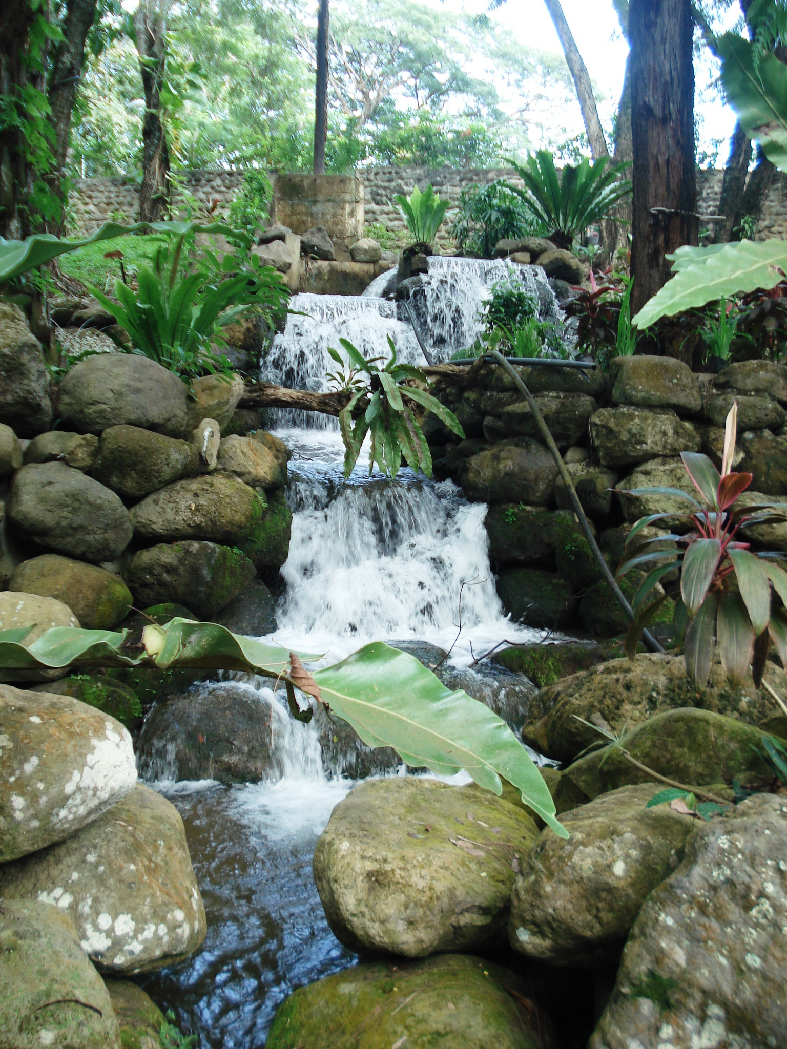 Pasonaca Main Pool Zamboanga City