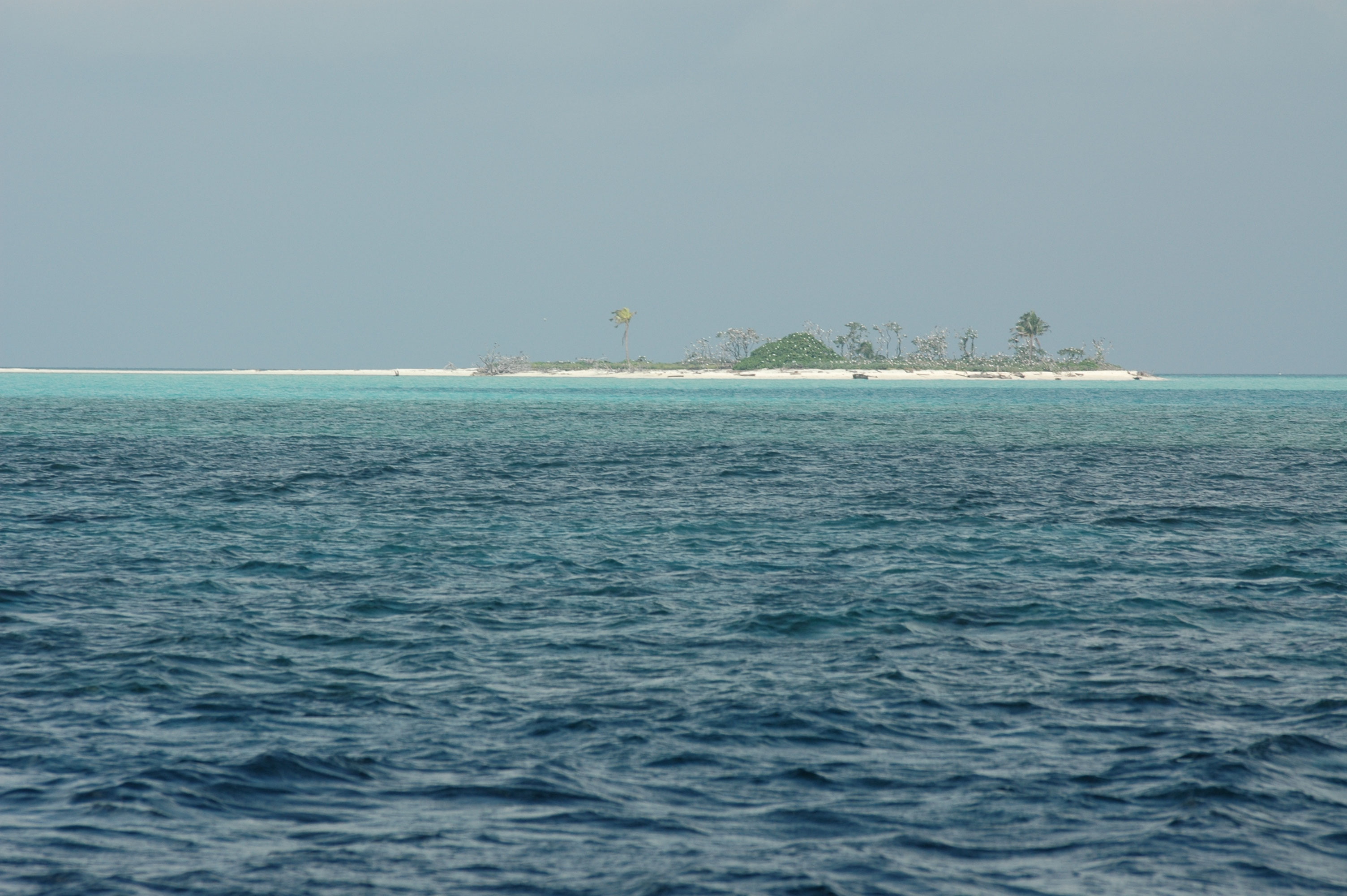 Tubbataha Reefs Natural Park (Philippines)