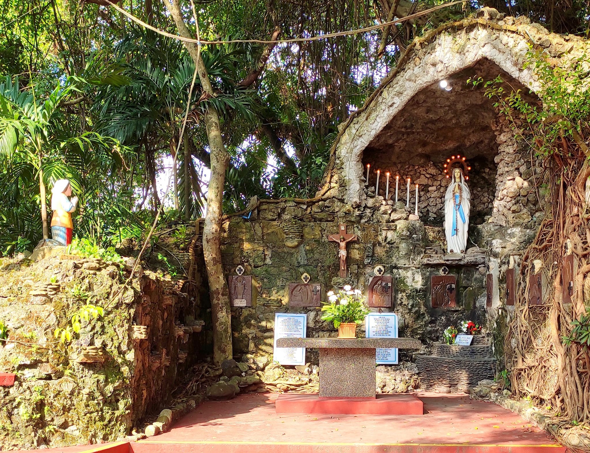 The small part of the ruin walls of the Old Oton Church, what’s left today which was made into a charming and seemingly enchanting grotto located beside the new church. On top of the stone wall, a huge balete tree has grown and has hidden the stone slab because of the overgrowth its roots.