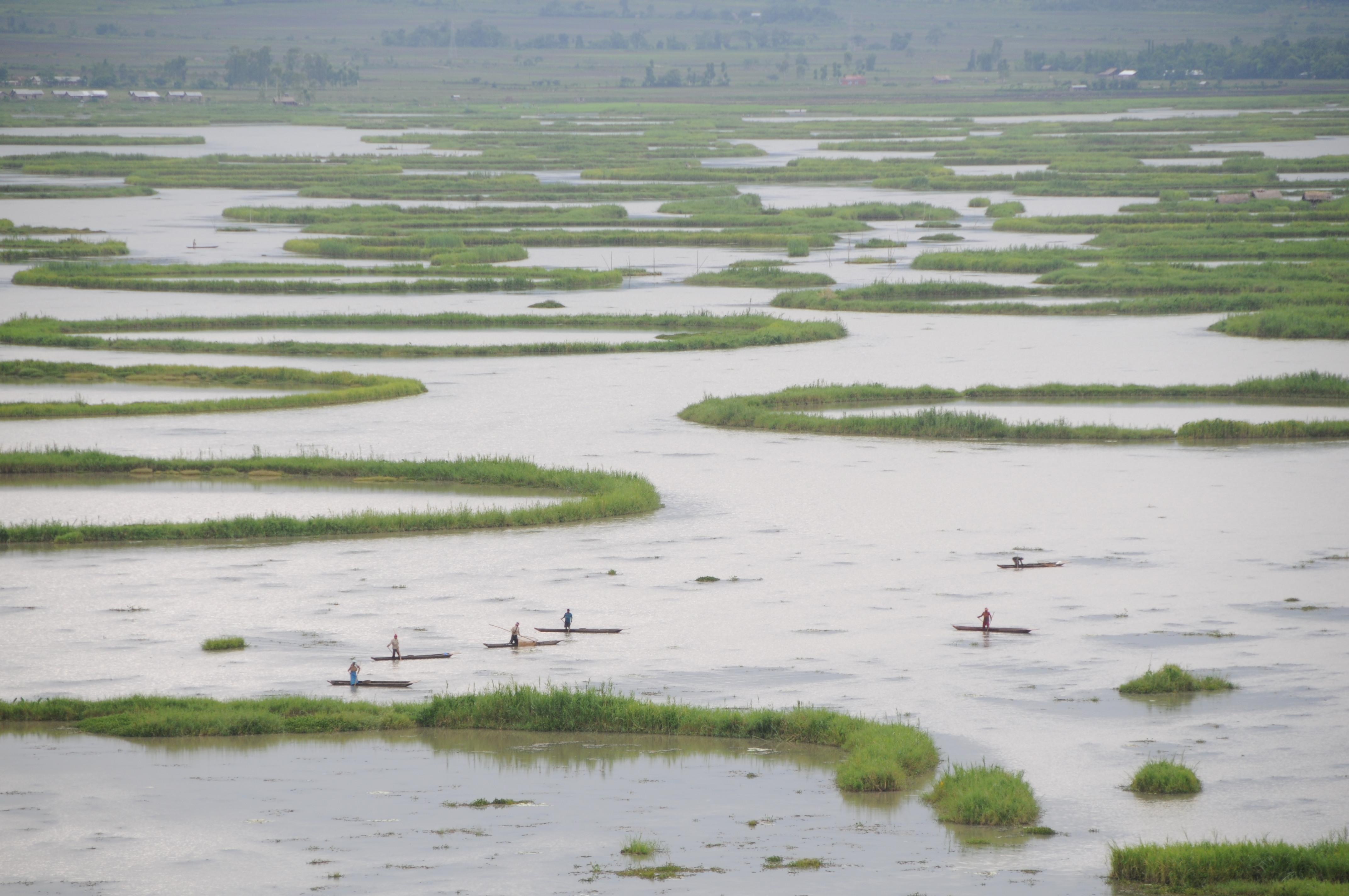 Fishing boats in Loktak Lake near Moirang Manipur India