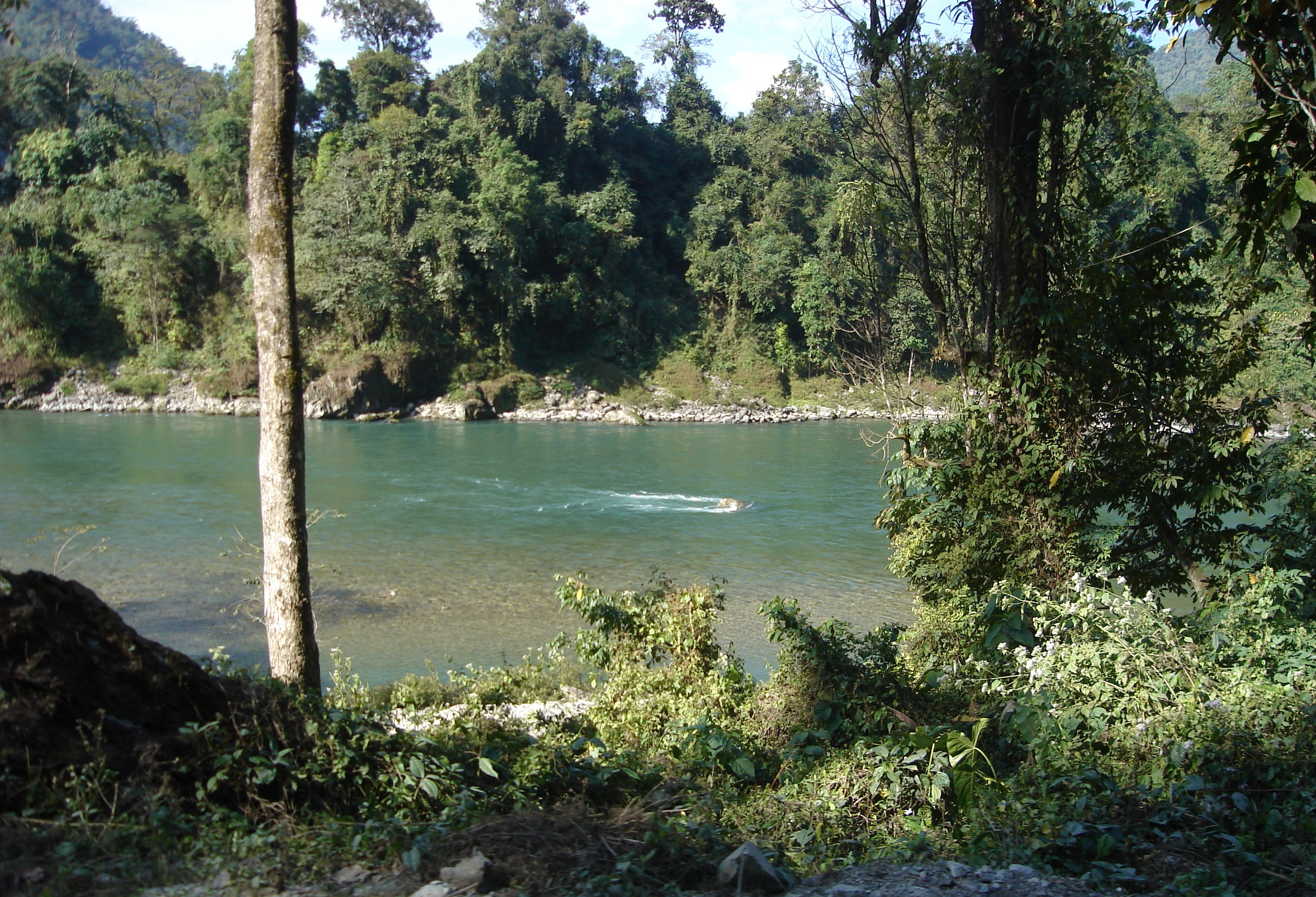 Clear waters of the Manas River in the sanctuary.
