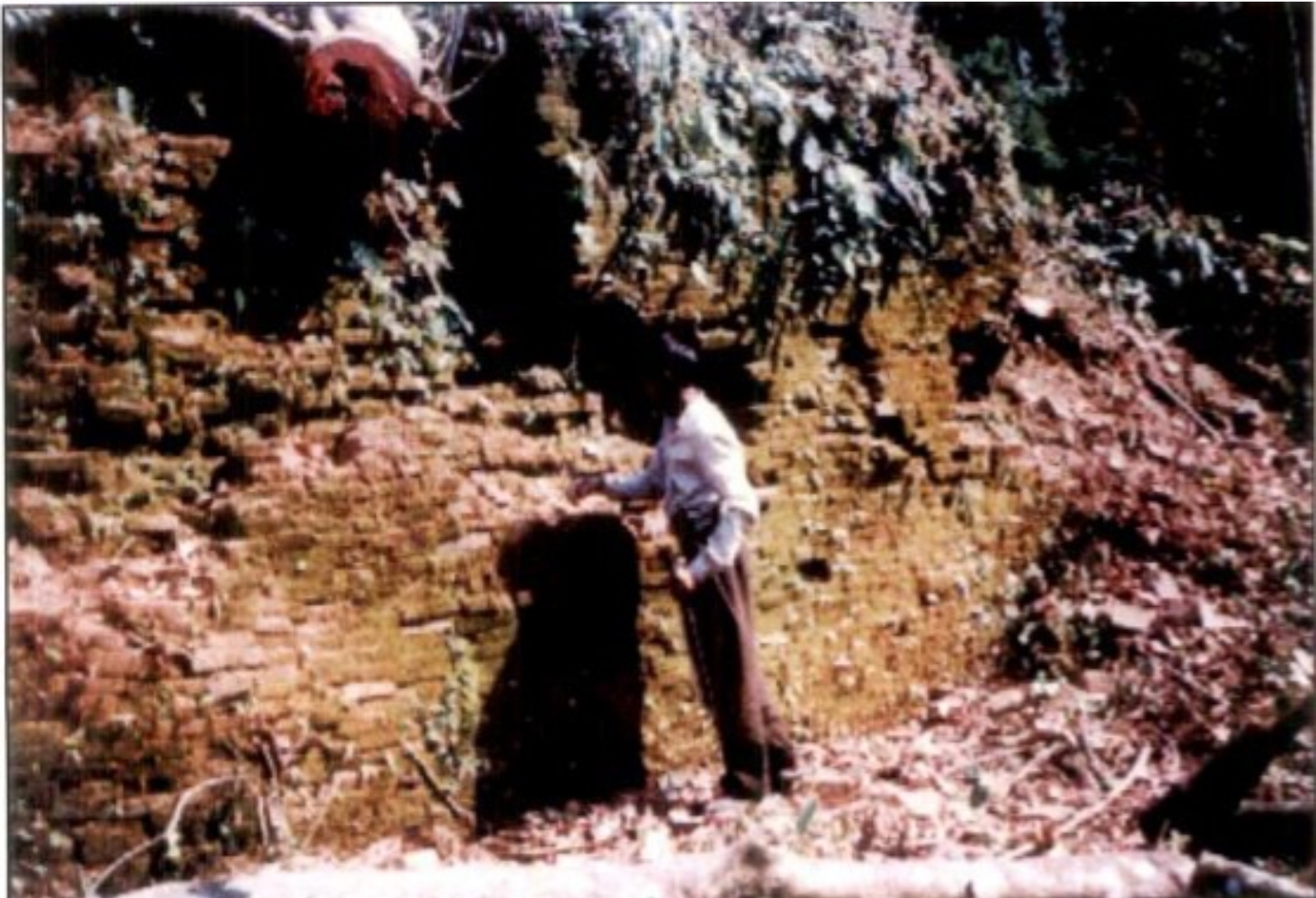 A section of the wall of Bhismaknagar with a height of 4.5 meters