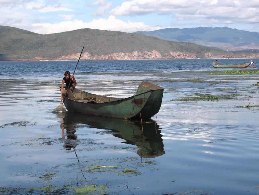 lashi wetland (拉市海湿地), 丽江, Yunnan China.

Taken by Ariel Steiner.