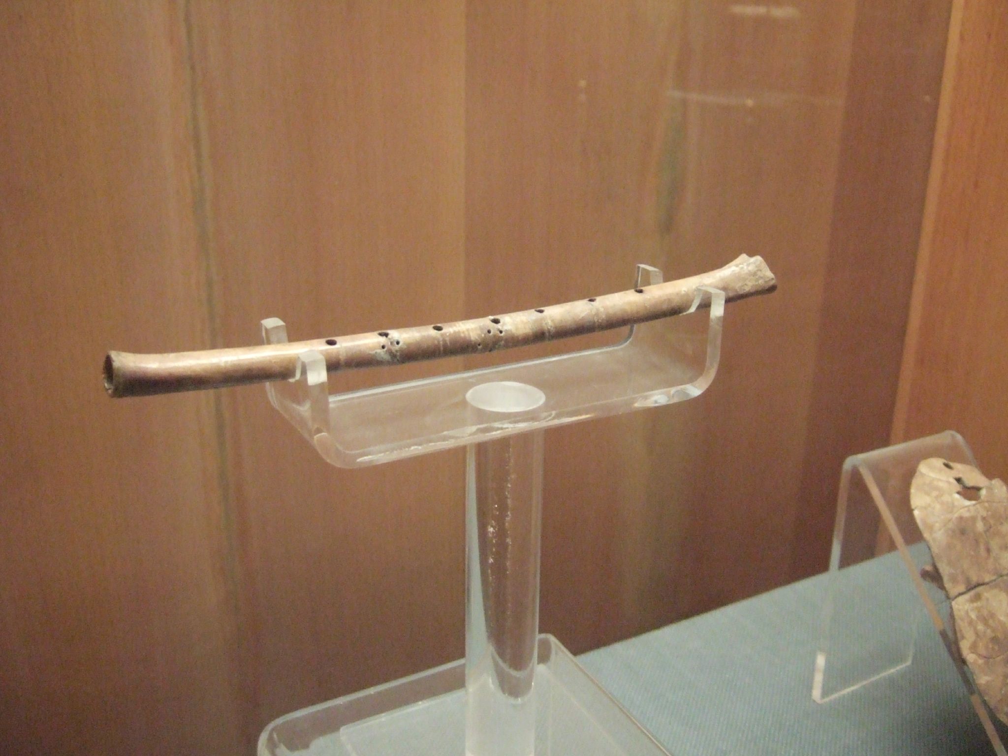 Neolithic bone flute (Henan Provincial Museum)