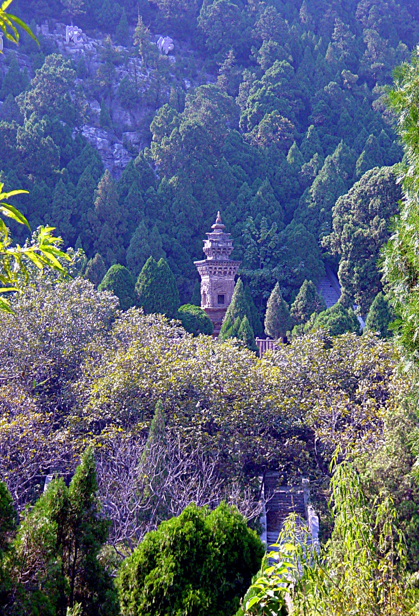 Photograph of the Dragon-and-tiger pagoda in Shandong Province, China