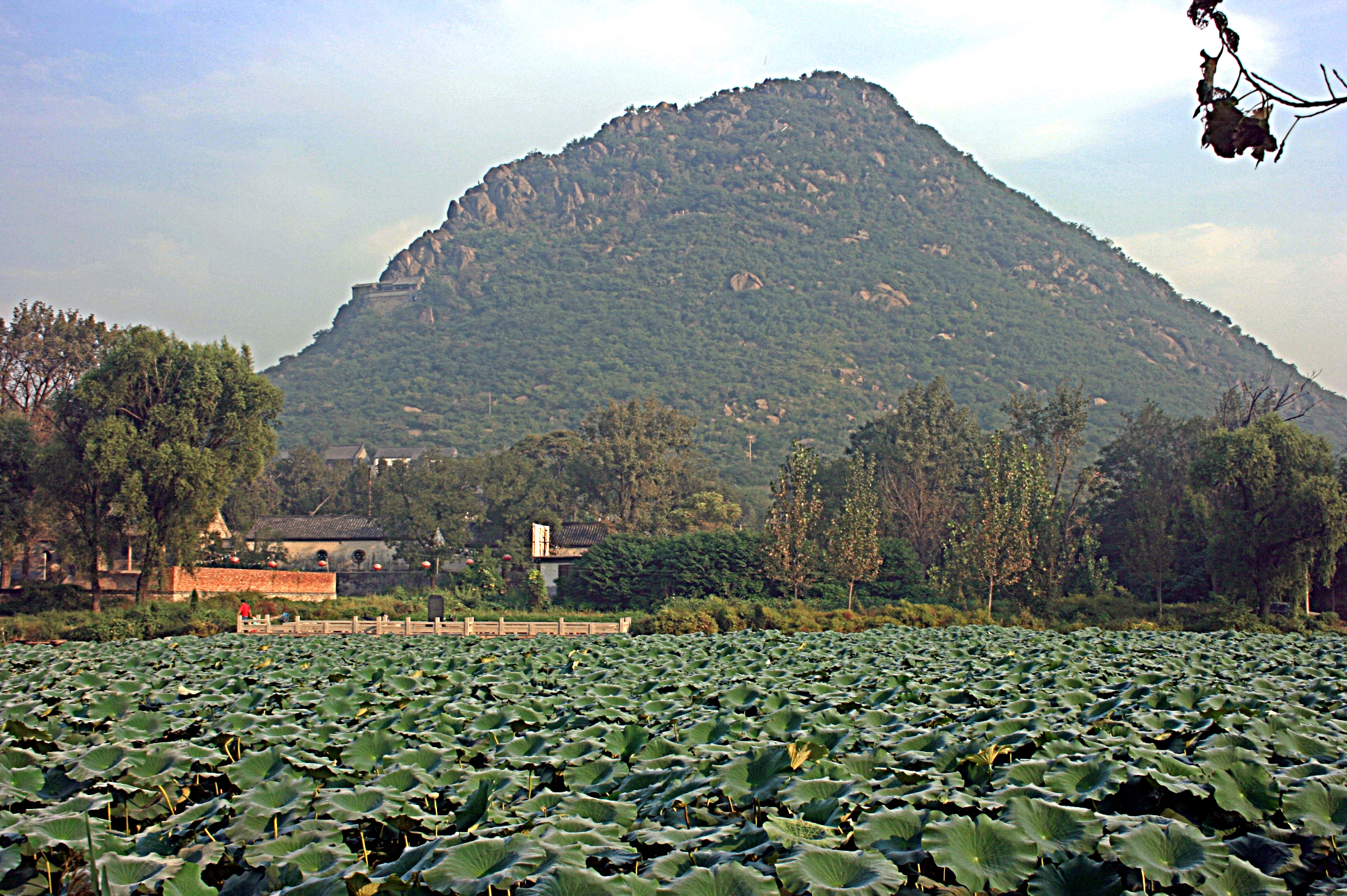 Photograph of Hua Hill in Jinan, Shandong, China. View from the South. The stone fence at the far end of the lotus pond encloses the Hua Spring. A text on the history of the spring is inscribed on the black stela. Behind the spring at the foot of the mountain buildings belonging to th Huayang Palace can be seen.