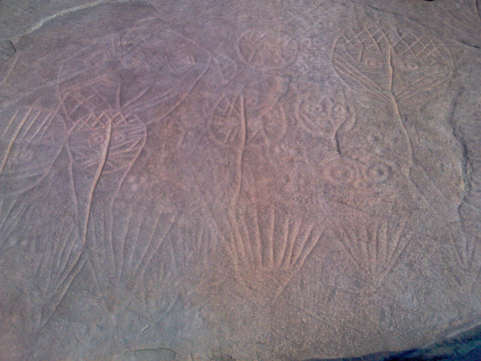 ​将军崖岩画位于江苏连云港海州城区西南孔望山，是著名的史前崖画之一。