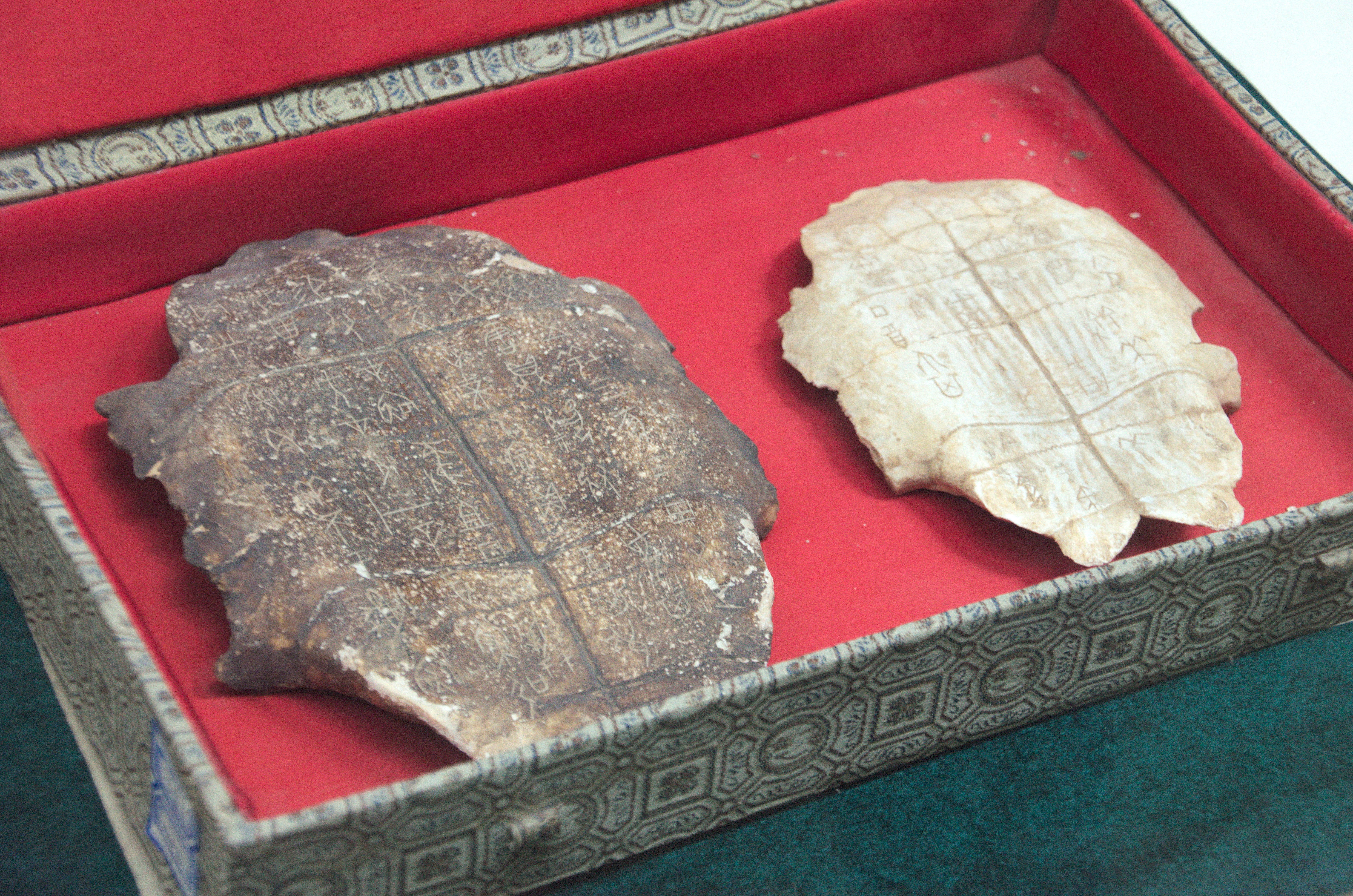 Oracle bone script, Shang dynasty (16th — 11th century B.C.), unearthed at the capital of Yin (modern Anyang, Henan Province). Displayed at the China Printing Museum.