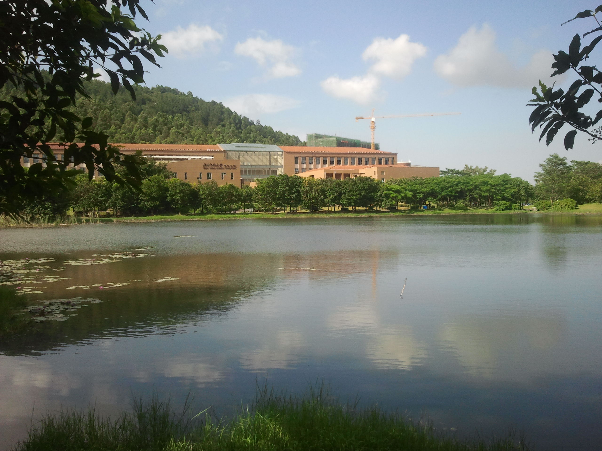 The biggest teaching center in BNUZ