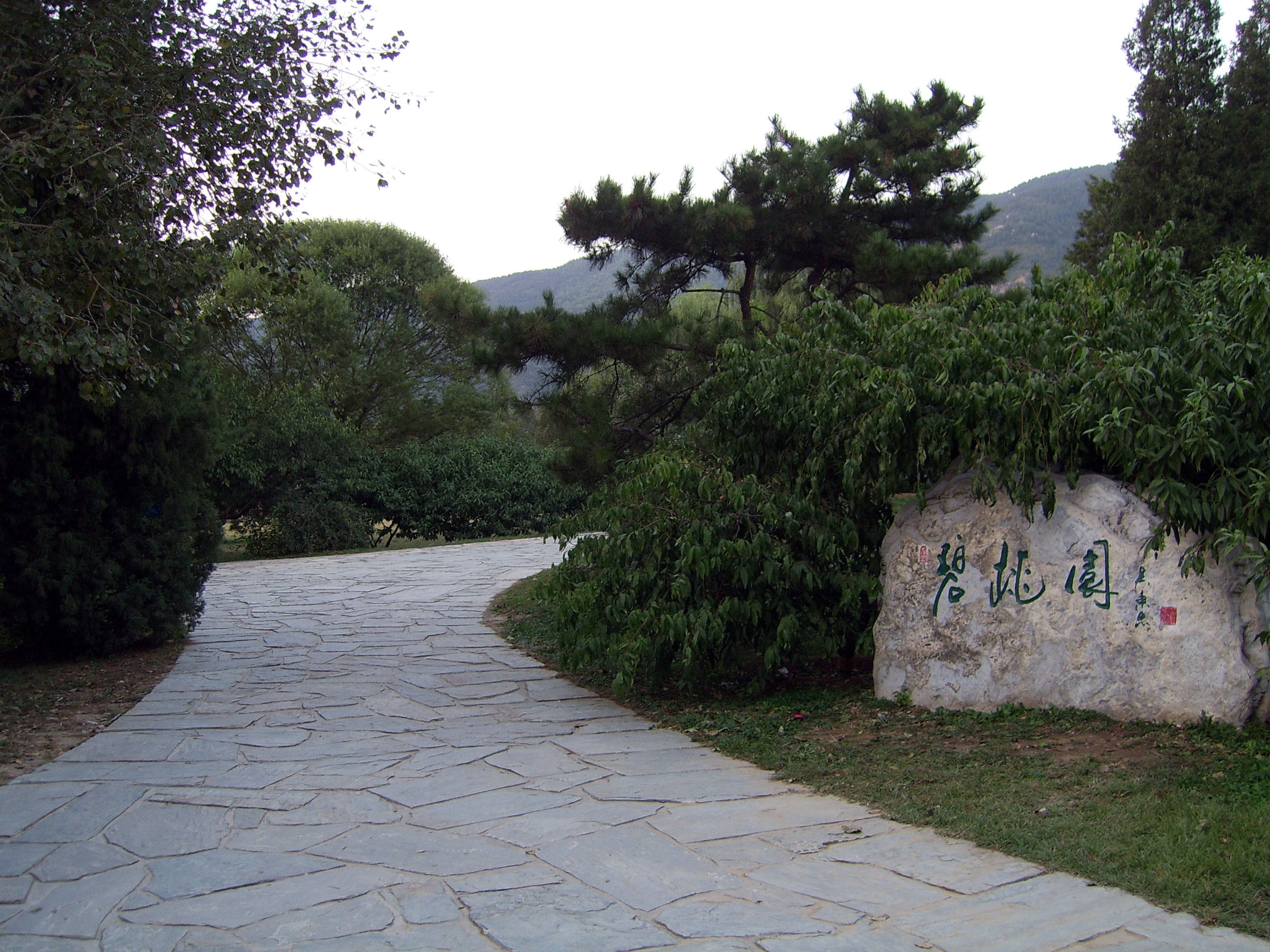 北京植物园的碧桃园