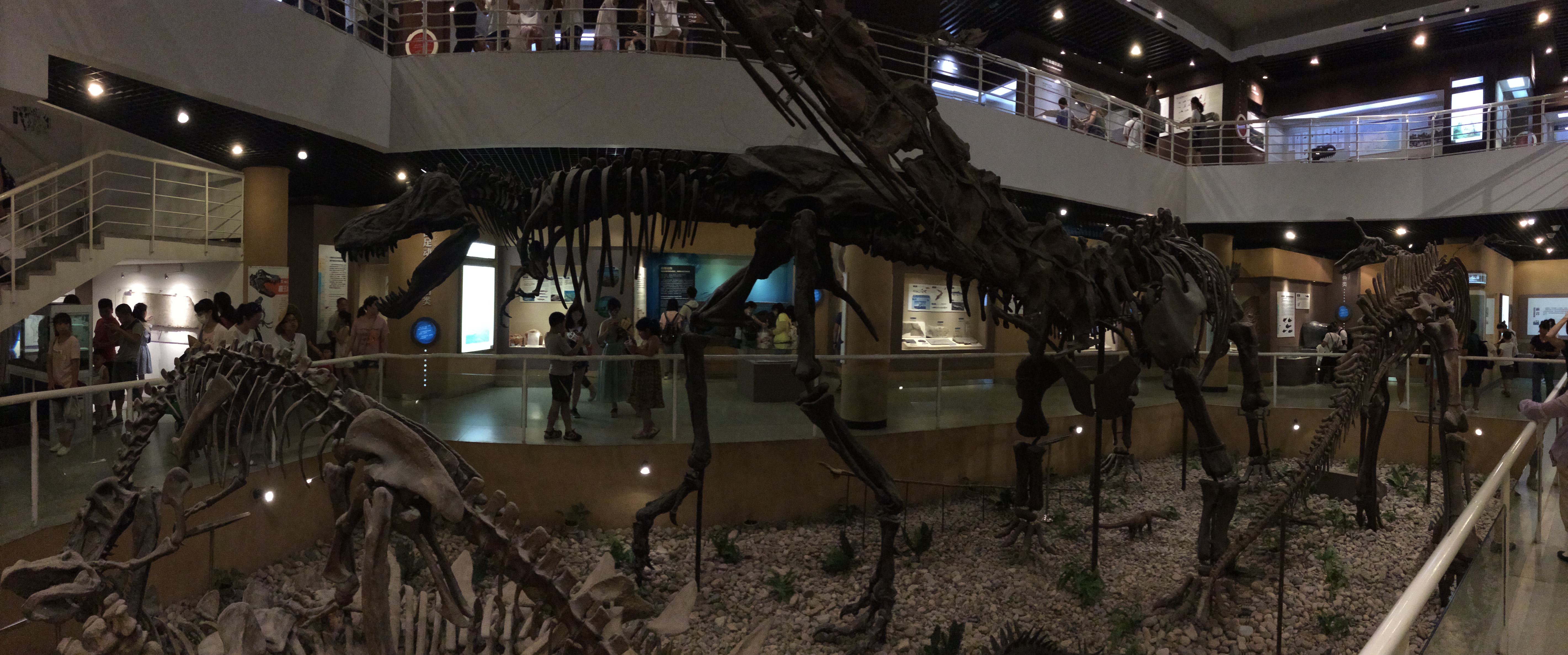 Panorama of Paleozoological Museum of China First Floor
