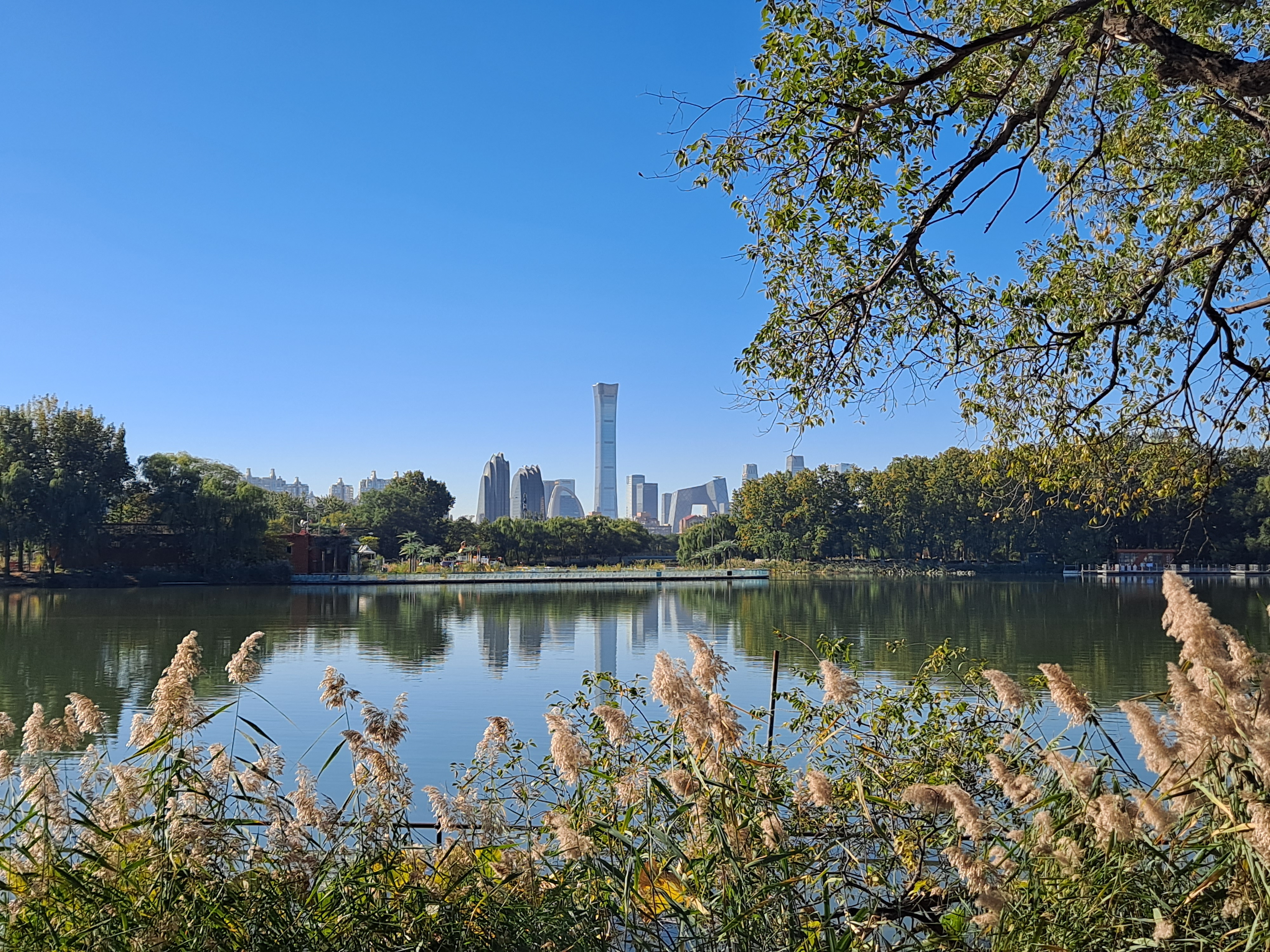 Chaoyang Park, Beijing