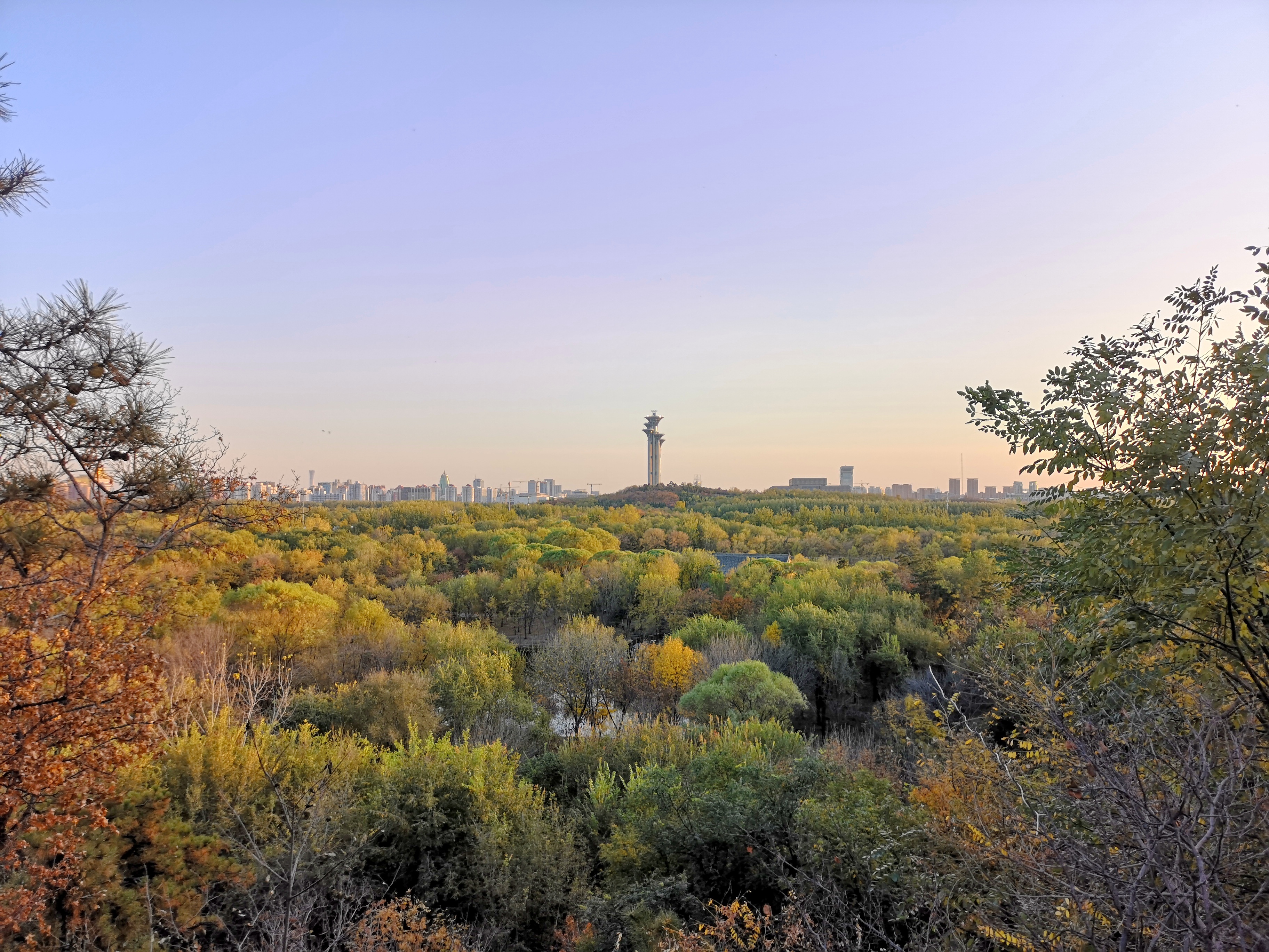 Panorama of Olympic forest park in Beijing