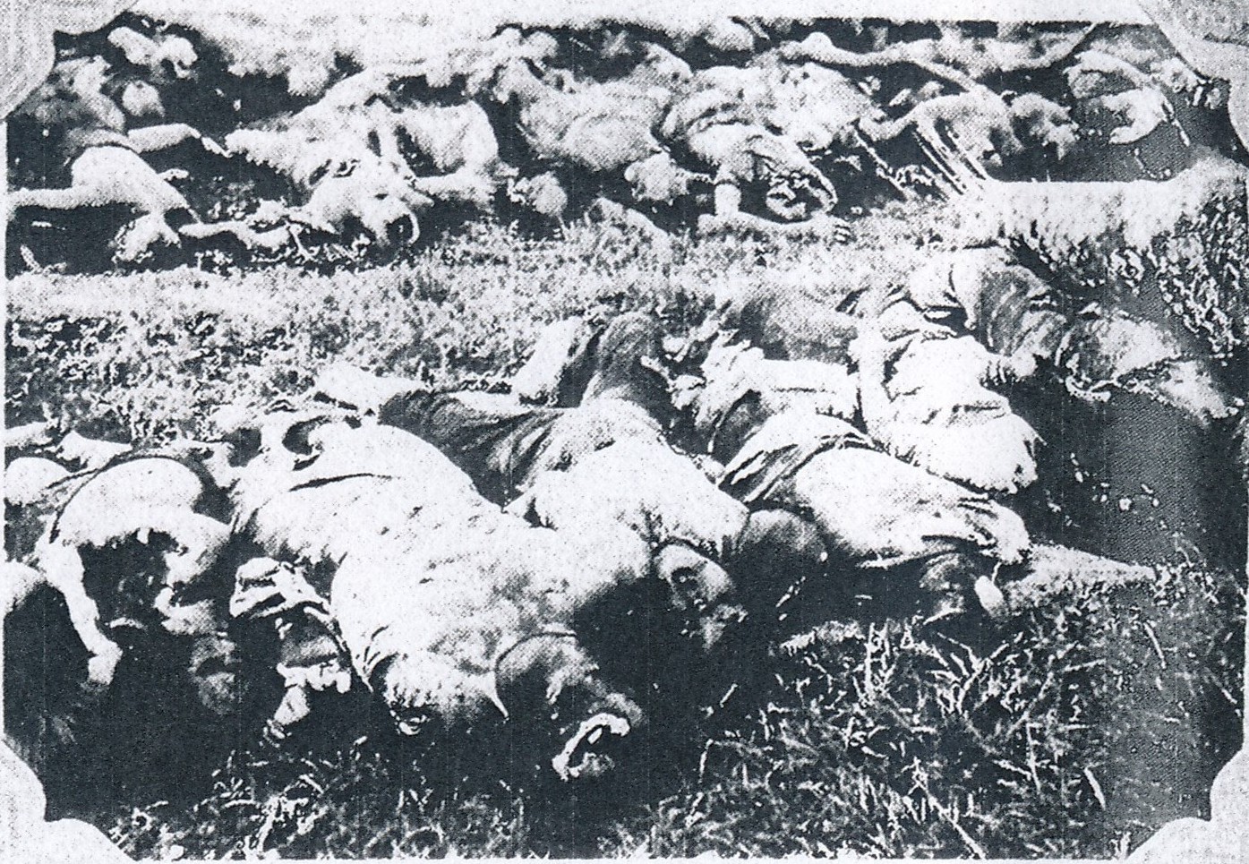 Massacred corpses of Japanese victims of the Tungchow Massacre日本語: 通州事件で虐殺された日本人居留民の遺体