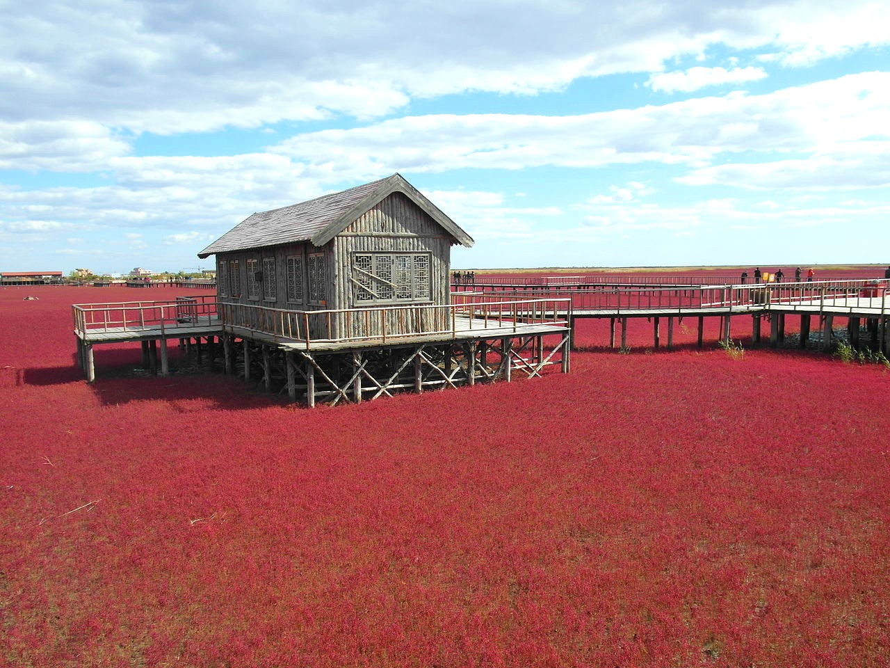 Red beach, Panjin, Liaoning, China.