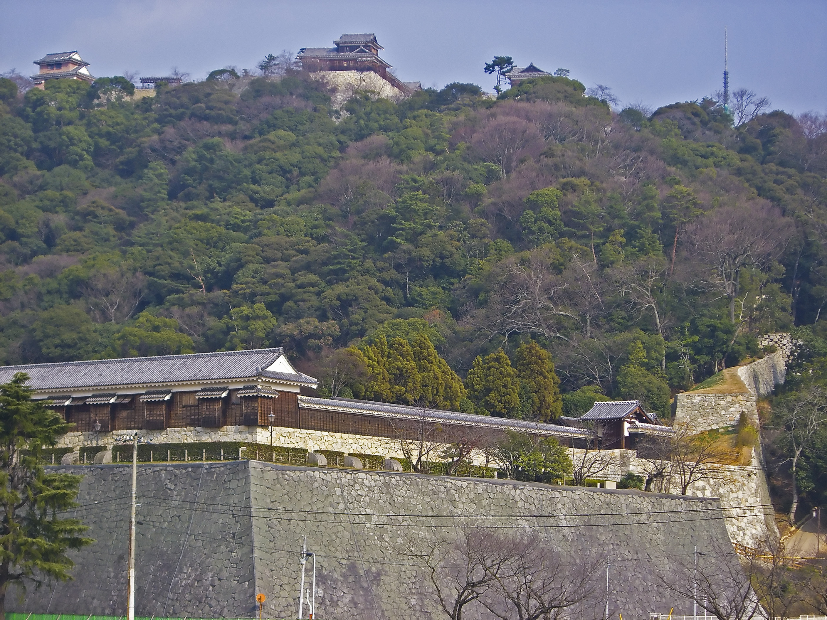 Iyo Matsuyama Castle photo by Jyo81