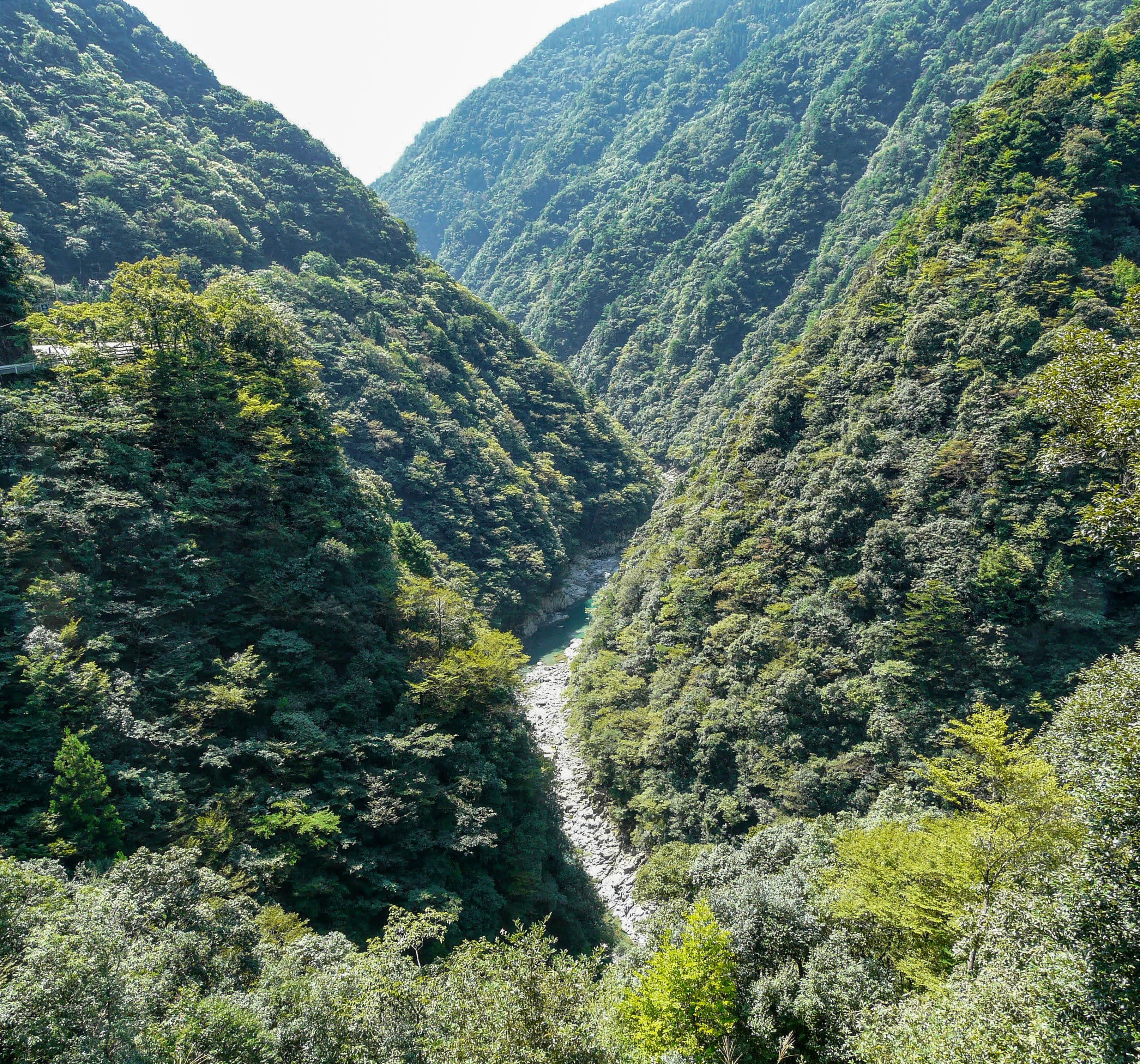 徳島県の三好市の祖谷川のV字谷が続く祖谷渓谷。祖谷渓展望台からの眺め。