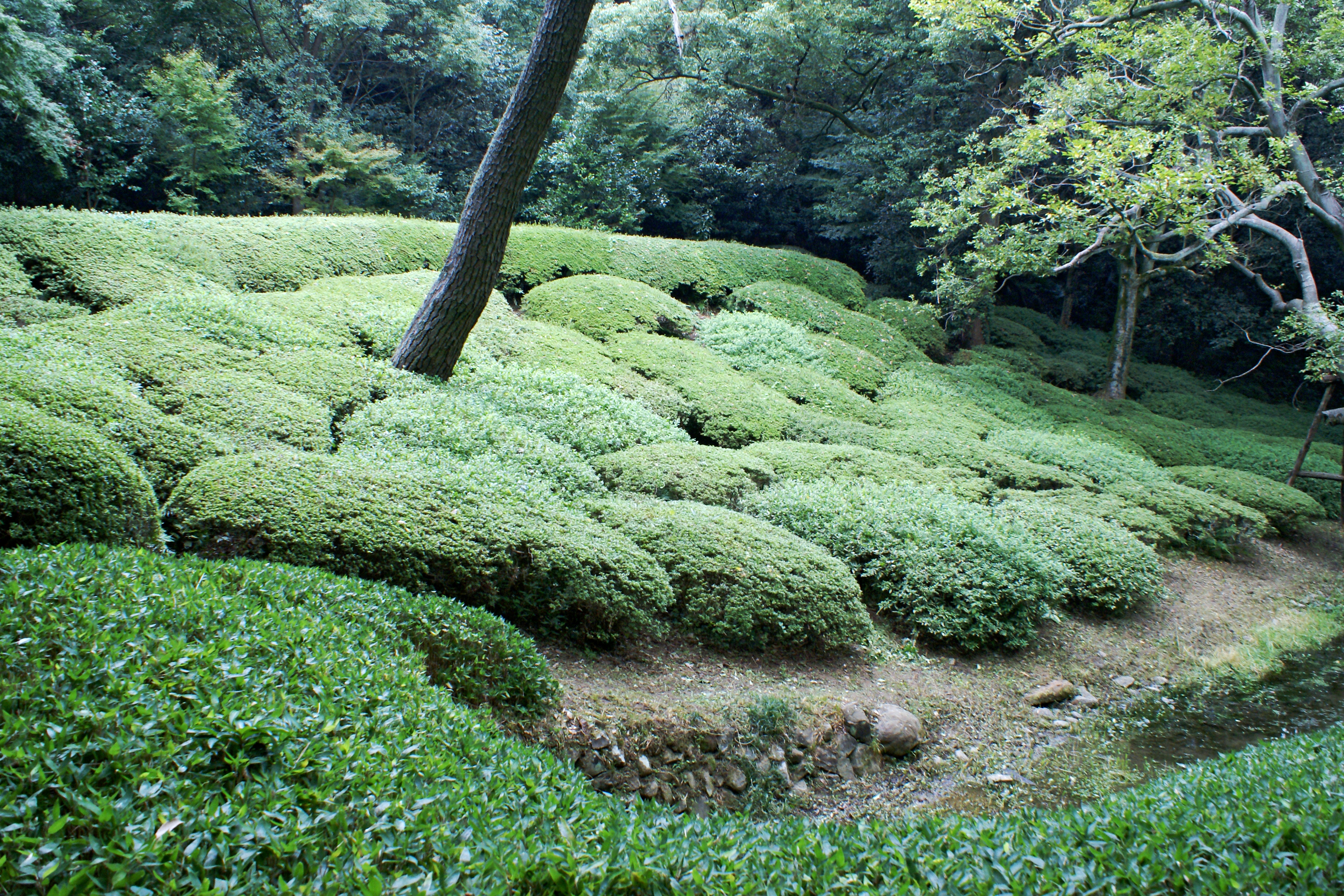 Ritsurin Garden in Takamatsu, Kagawa Prefecture, Japan