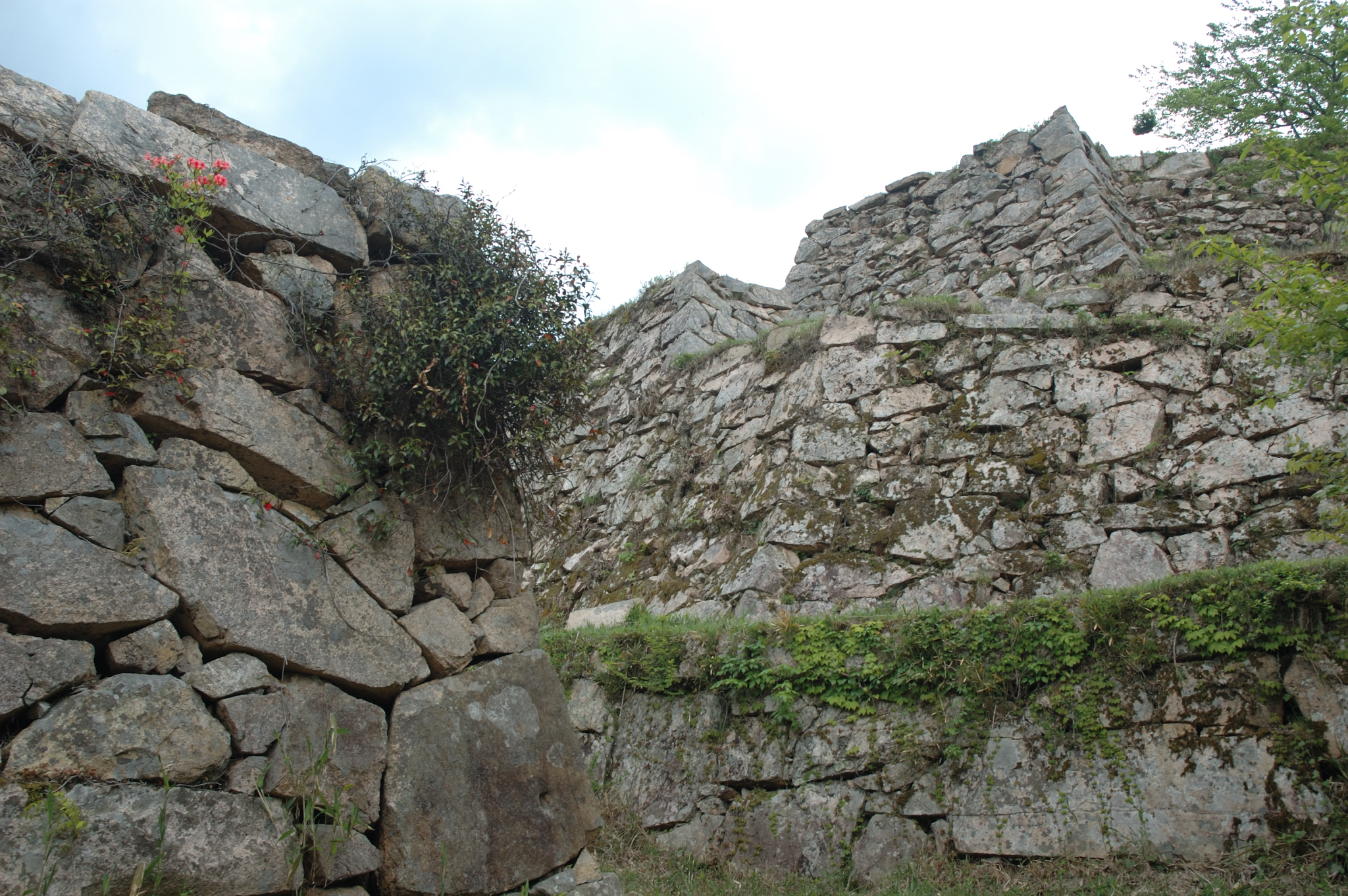 enterance of Hanayashiki and Hon-maru stone wall