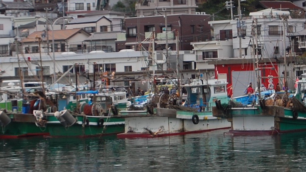 雑賀崎漁港の対岸からの風景