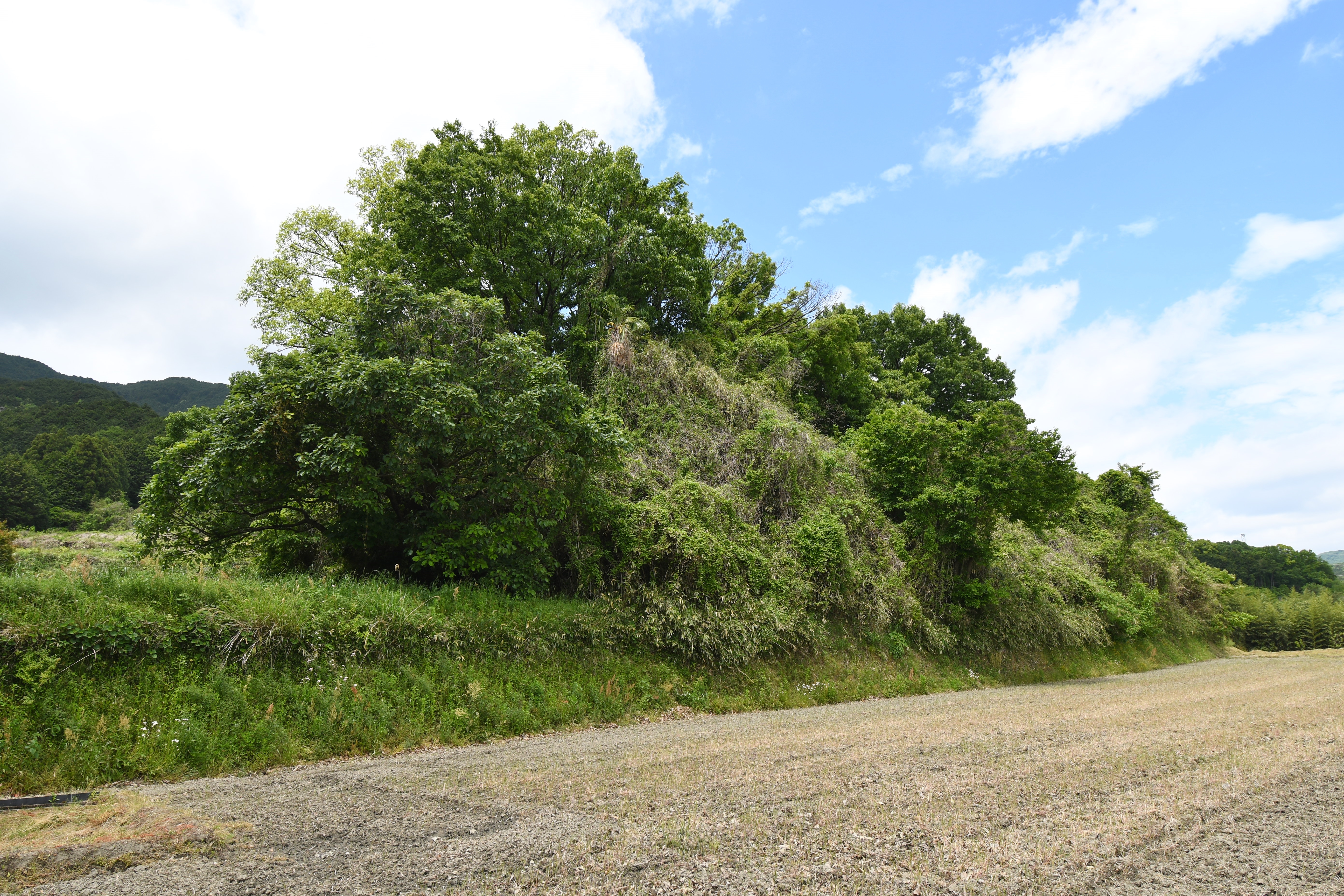 二塚古墳 (葛城市) 墳丘