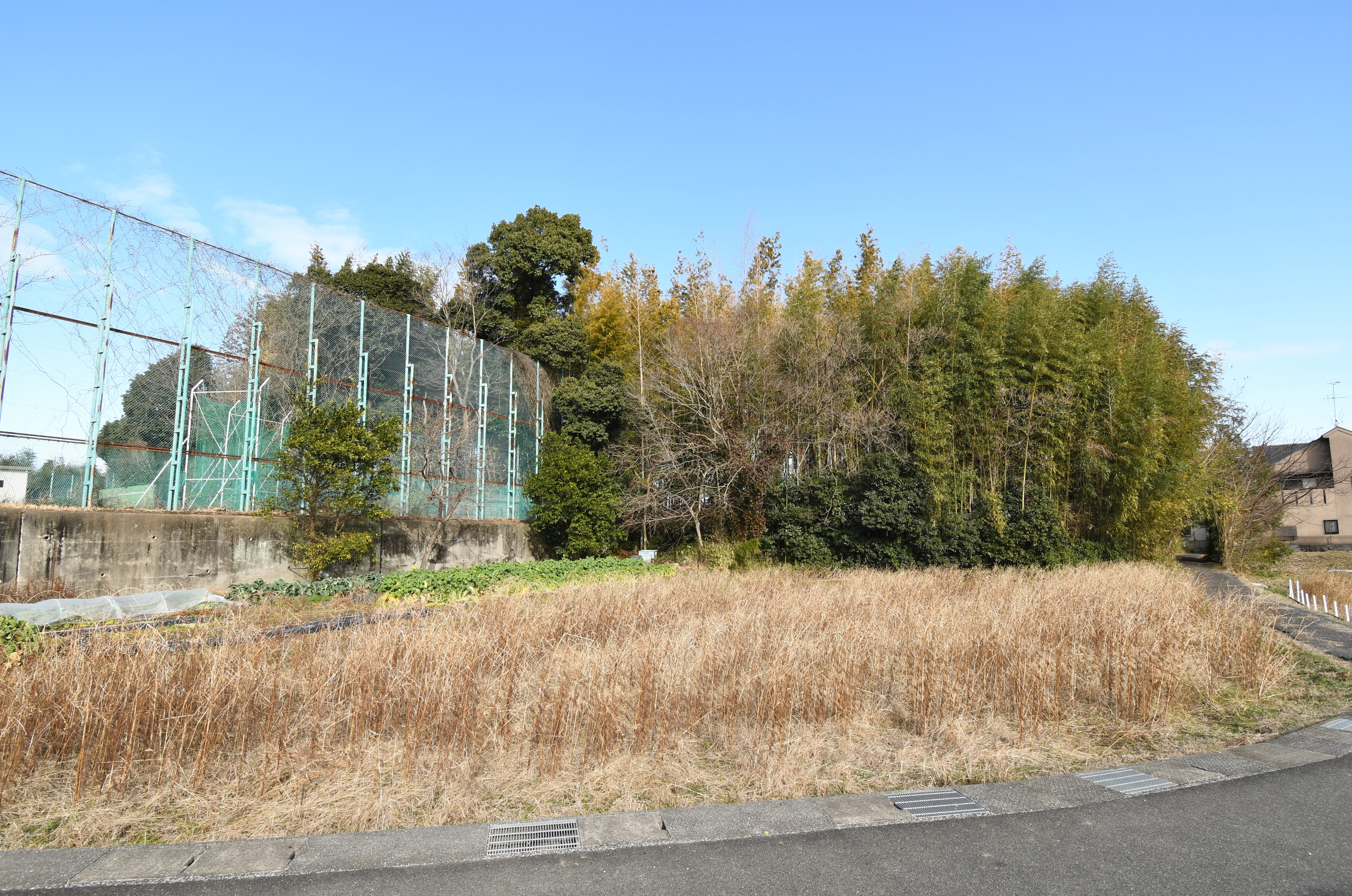 井ノ内稲荷塚古墳 遠景