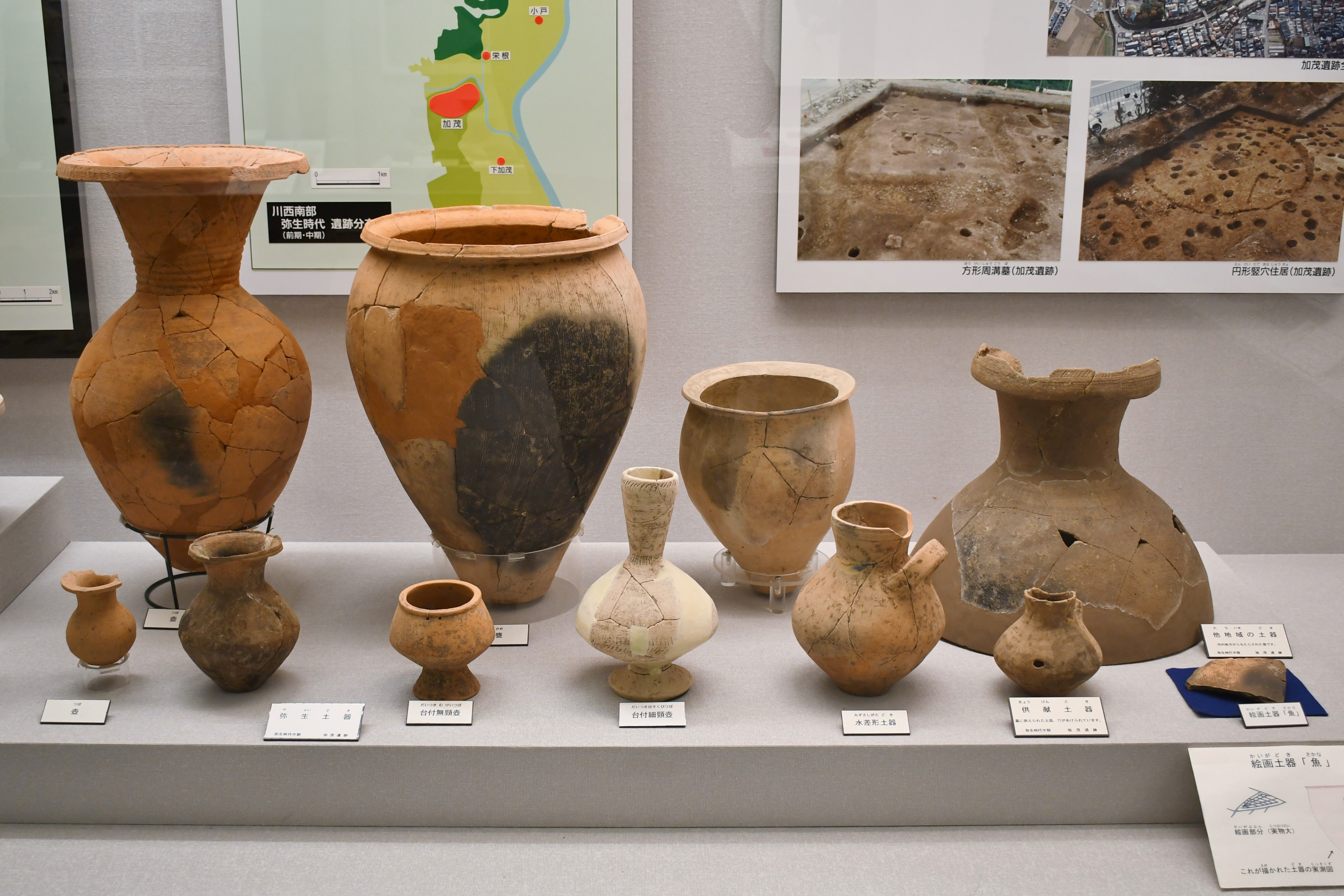 加茂遺跡 (川西市) 出土 弥生土器