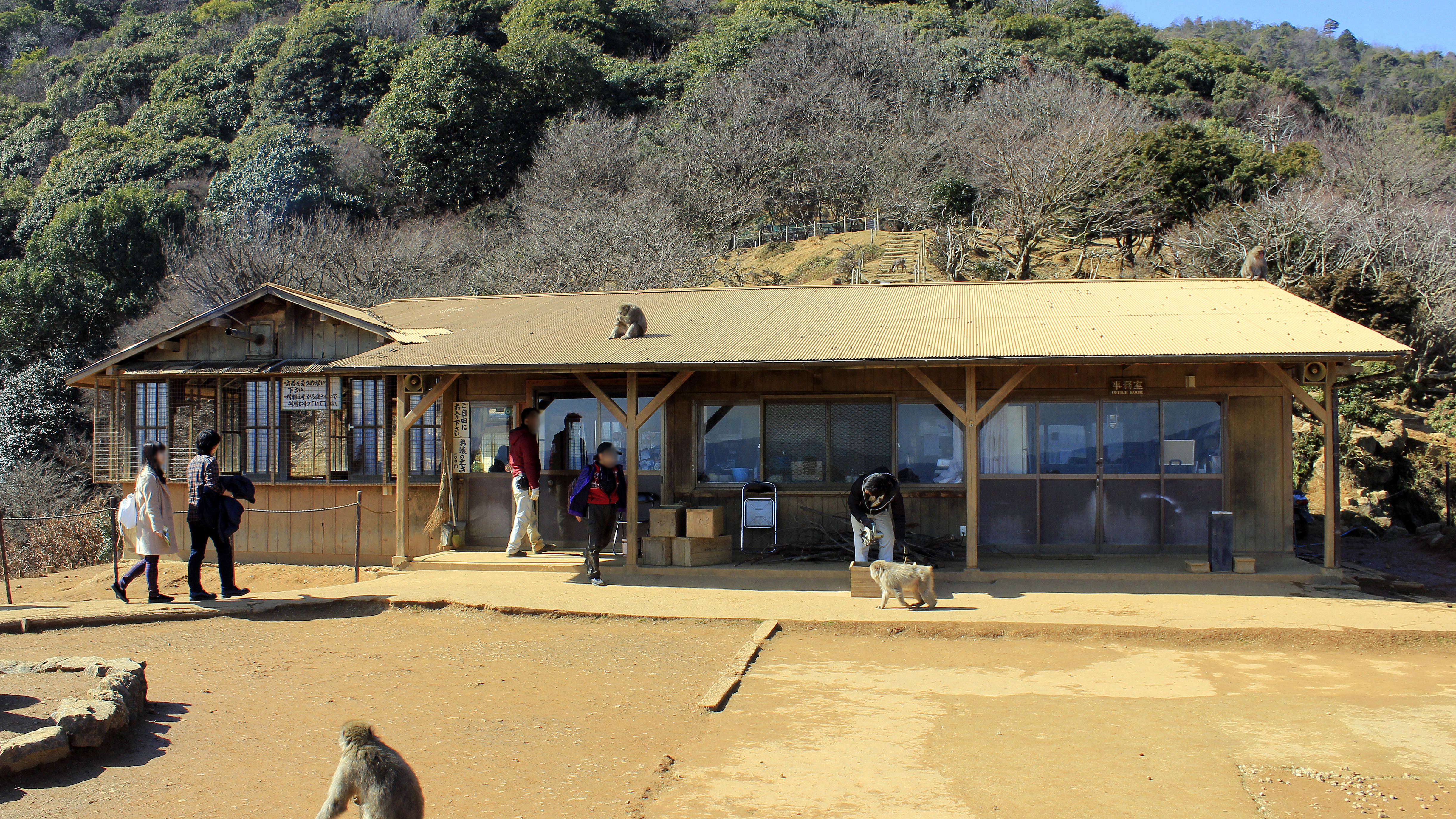 Iwatayama Monkey Park