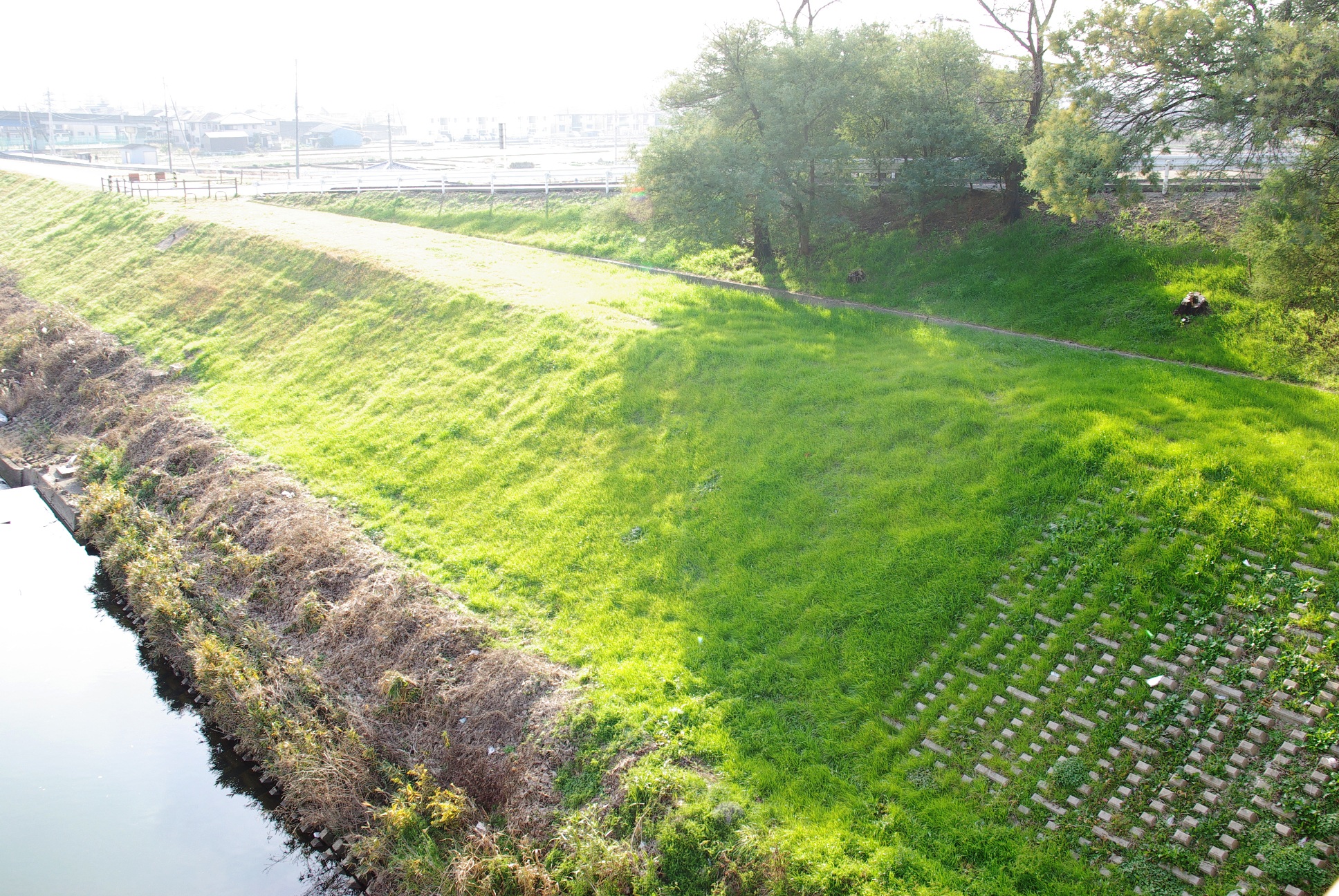 佐保川沿いの平城京羅城門跡