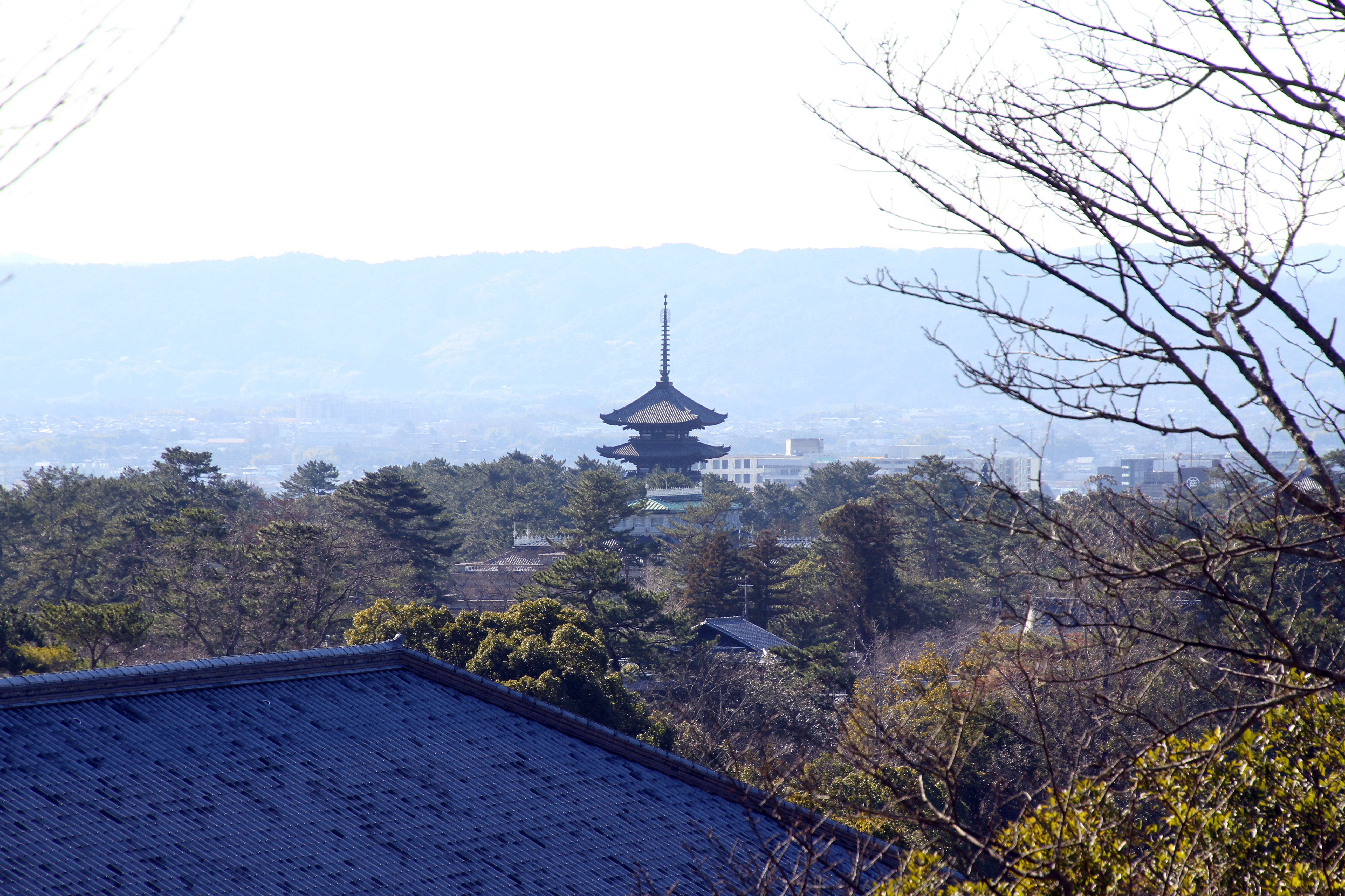 image montrant une vue panoramique