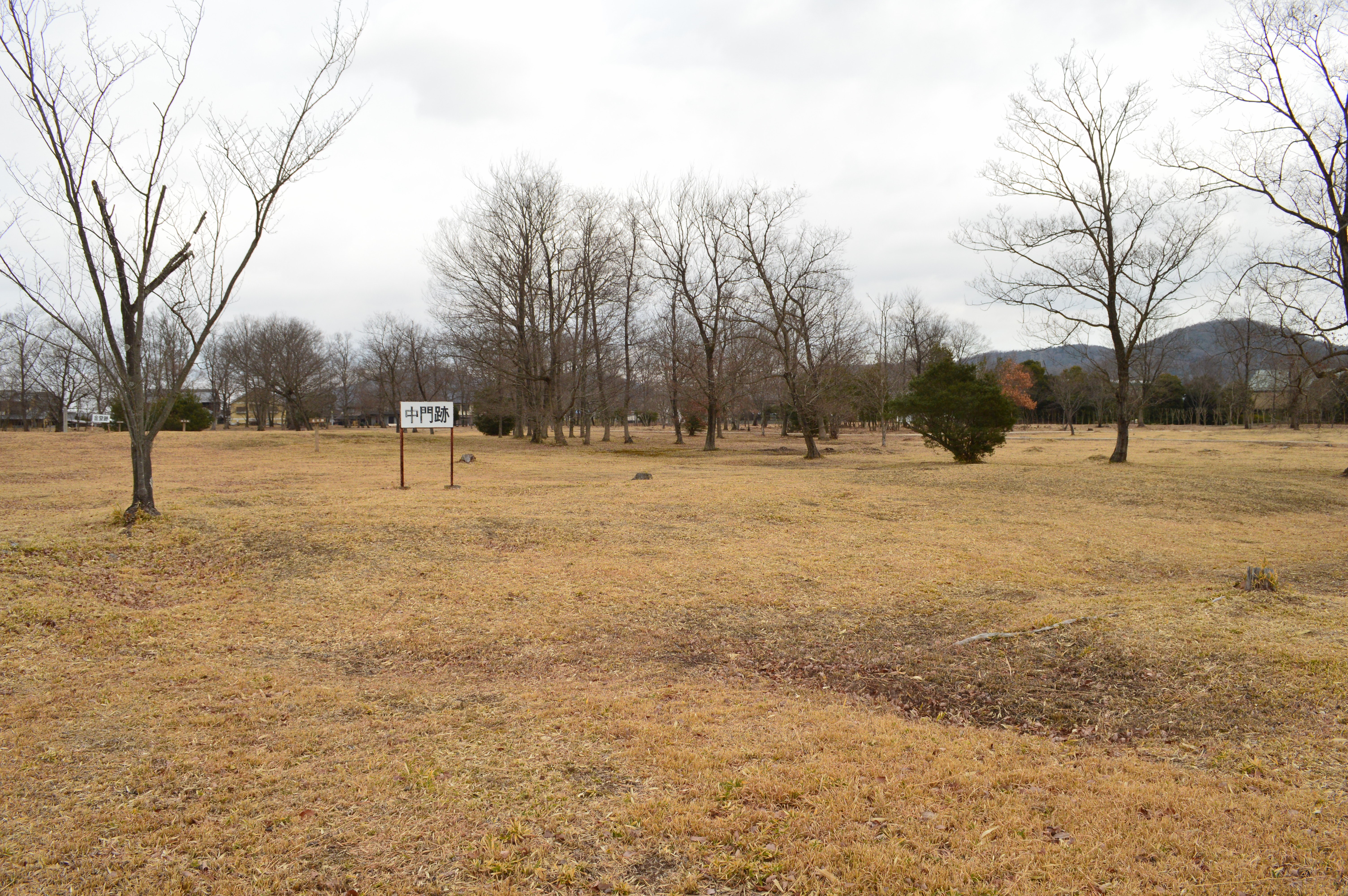 伊賀国分寺跡 中門