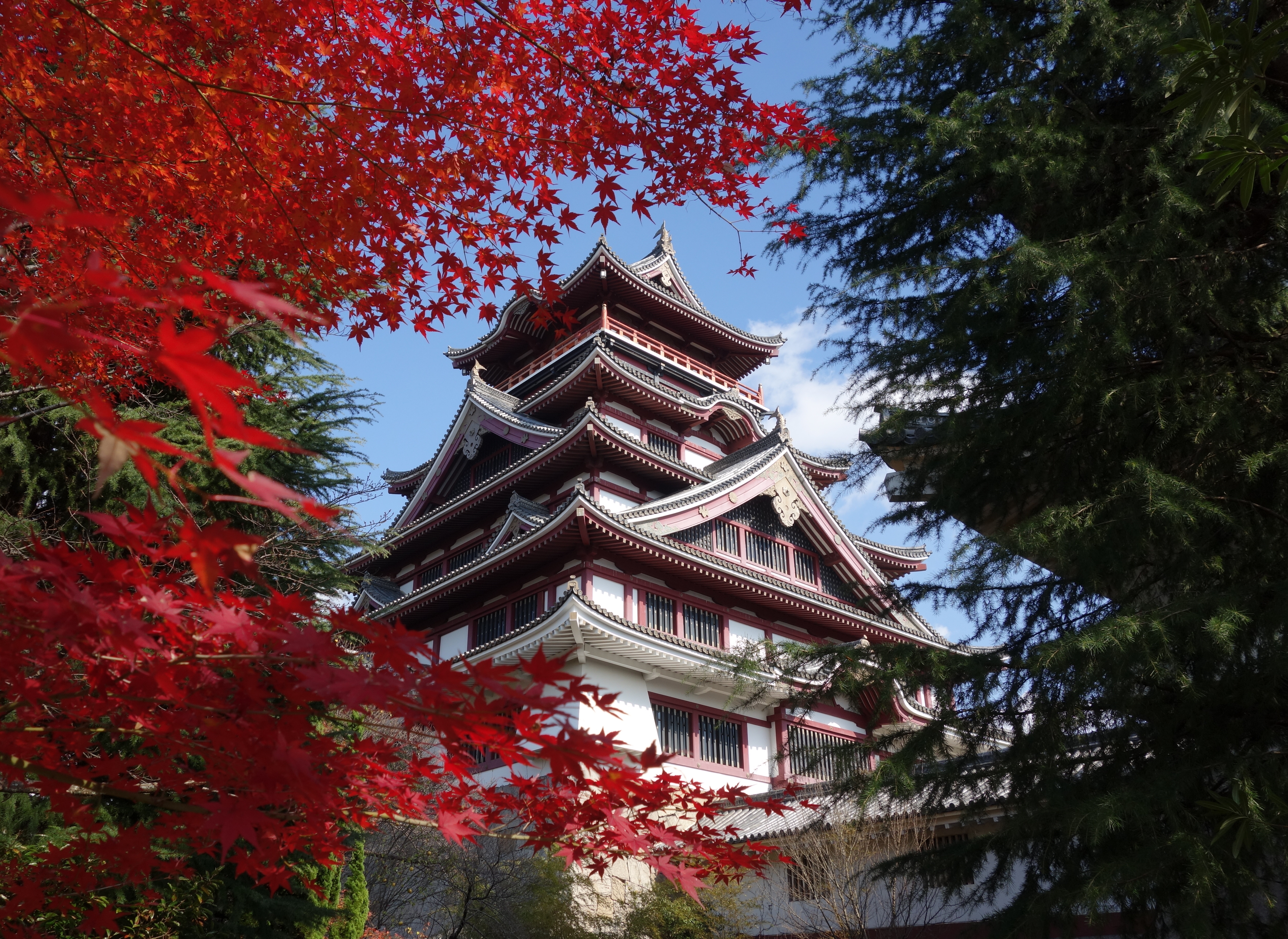 Fushimi-Momoyama Castle in autumn. The view includes a maple tree in autumn foliage.