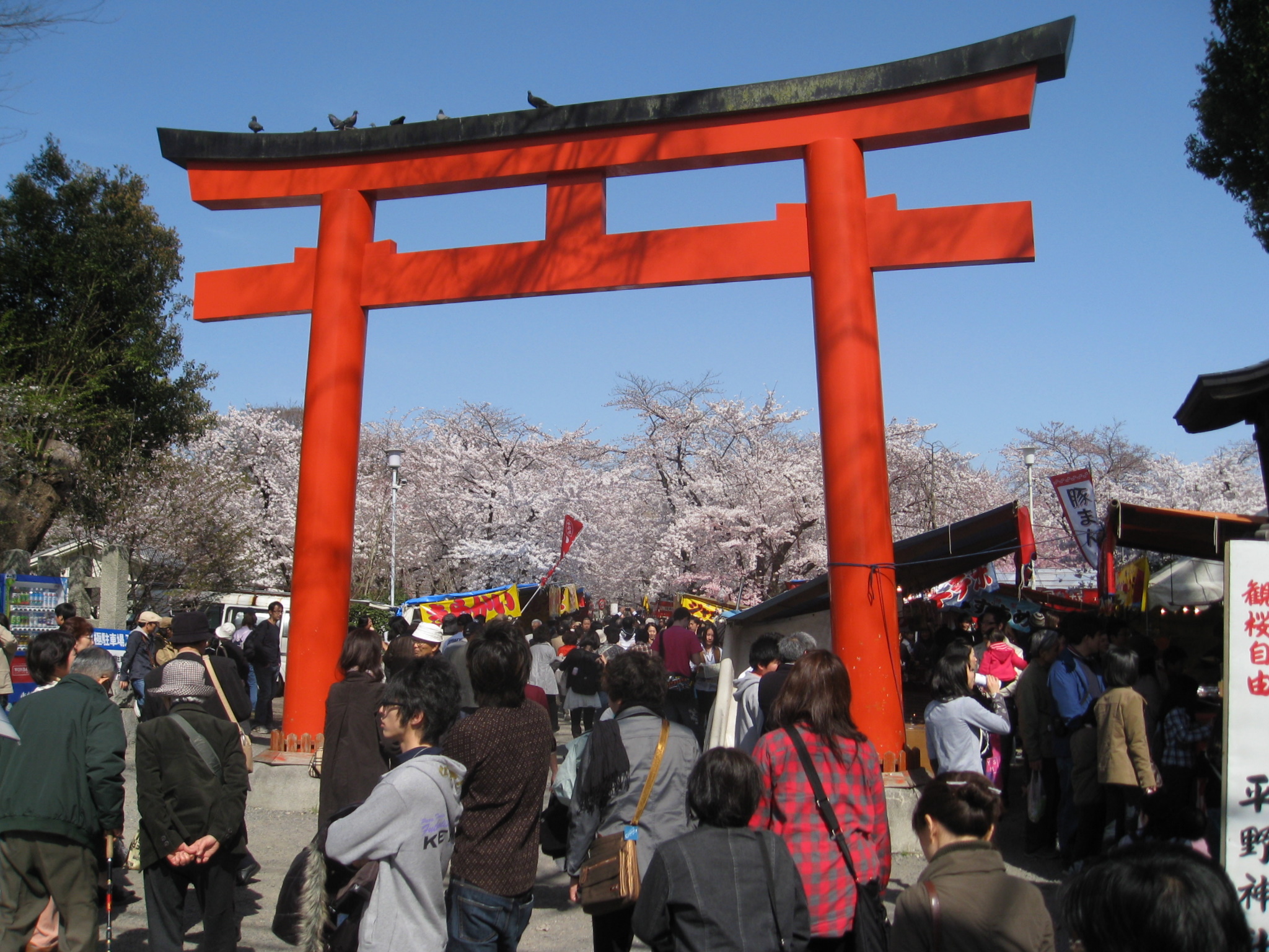 Hirano Shrine's Nishiōji Street entrance during peak Hanami season. Pictures was taken with a Canon Power Shot SD850 IS digital Elph camera.