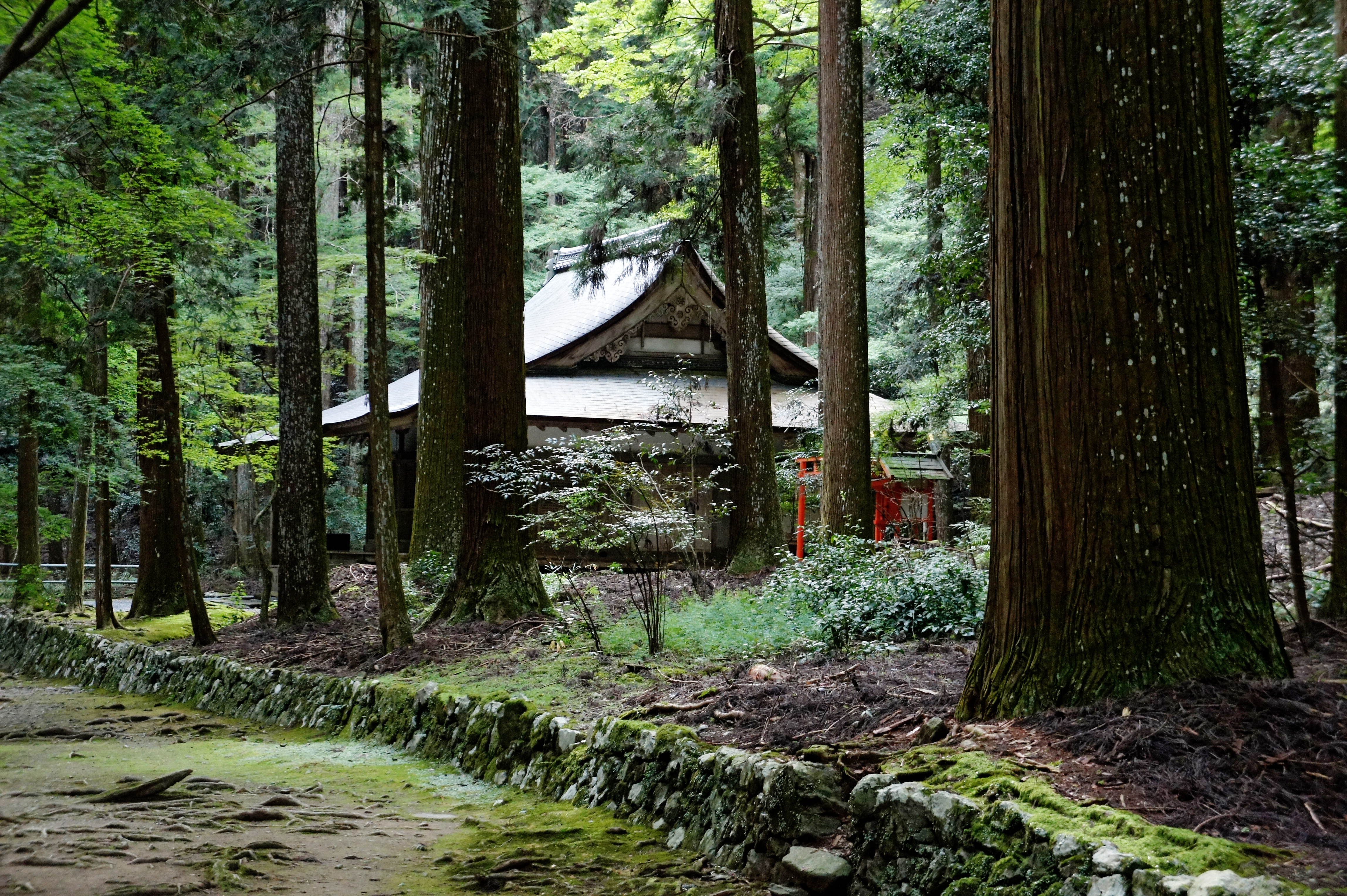Kōzan-ji in Kita-ku, Kyoto, Kyoto Prefecture, Japan.  It was registered as part of the UNESCO World Heritage Site "Historic monuments of ancient Kyoto".