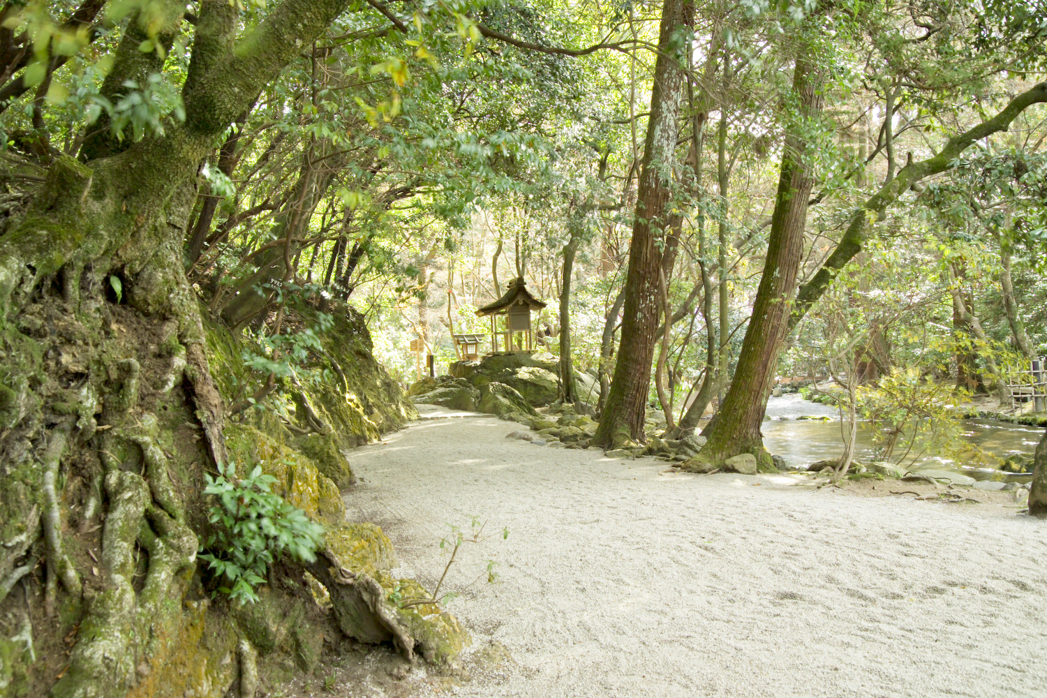 This photograph was taken at the Kamigamo Shrine, formally Kamowakeikazuchi Shrine (賀茂別雷神社, kamowakeikazuchi jinja) in Kyoto (京都), Japan.