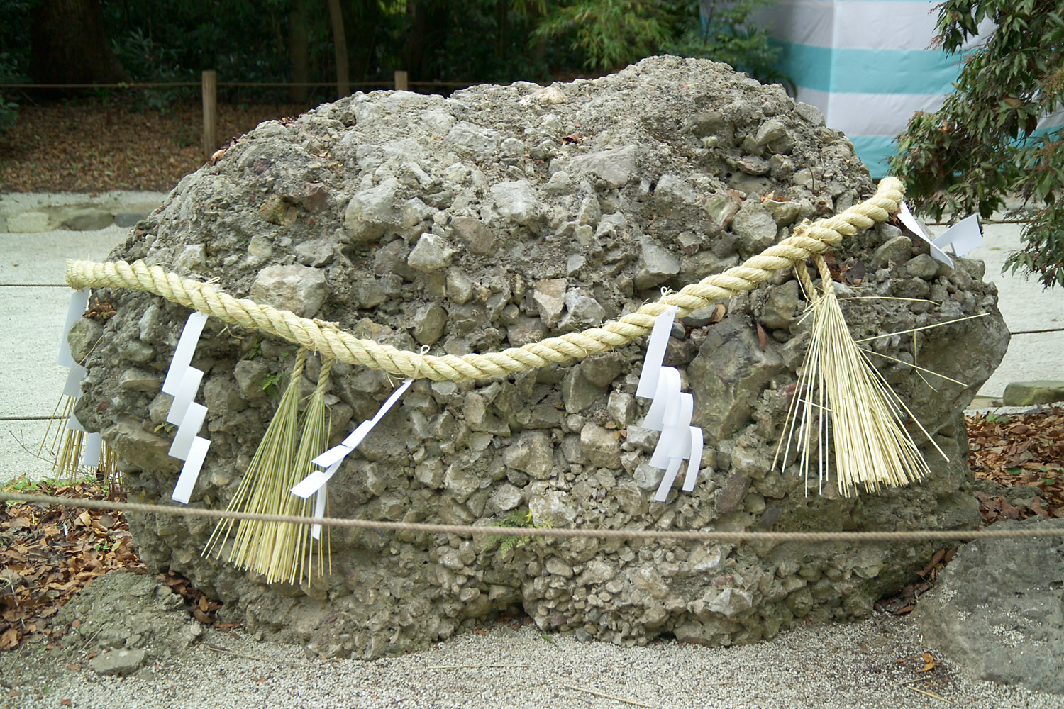 Sazare-ishi (さざれ石), a kind of boulder grown from pebbles, which is used as a symbol of national unity in Kimi ga Yo, the national anthem of Japan.
This stone stands on the grounds of Shimogamo Shrine in Kyoto.