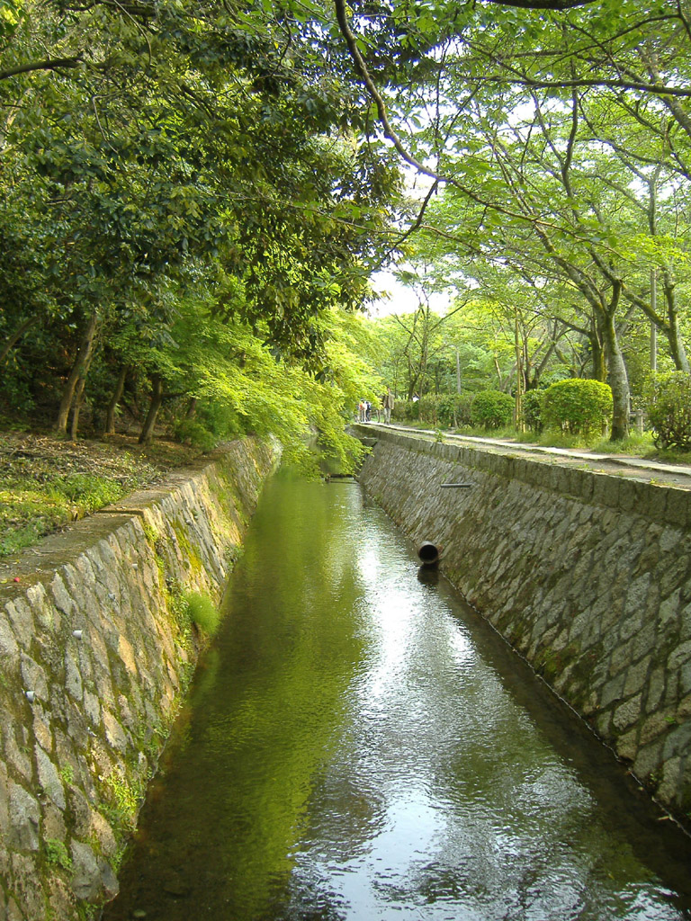 Lake Biwa Canal which flows along the Philosopher's Walk, Kyoto, Japan.