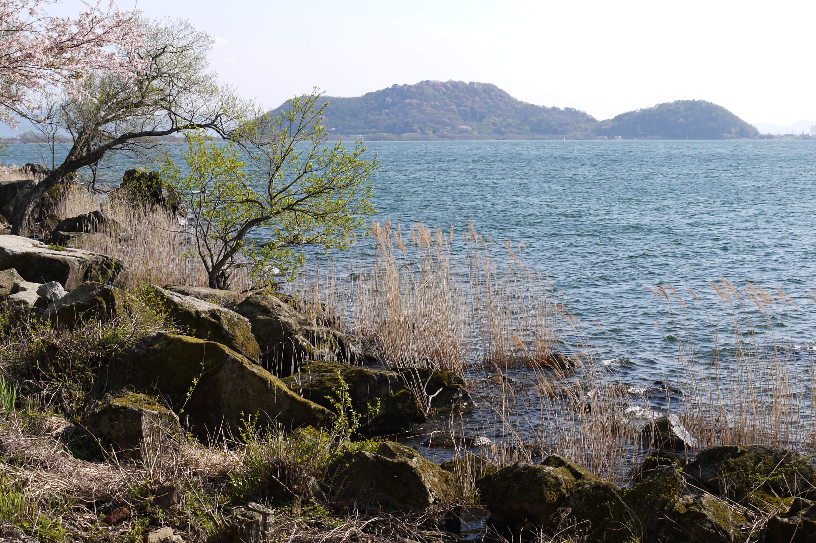 Lake Biwa at Chomeiji (Biwako Quasi-National Park), Omihachiman, Shiga prefecture, Japan.