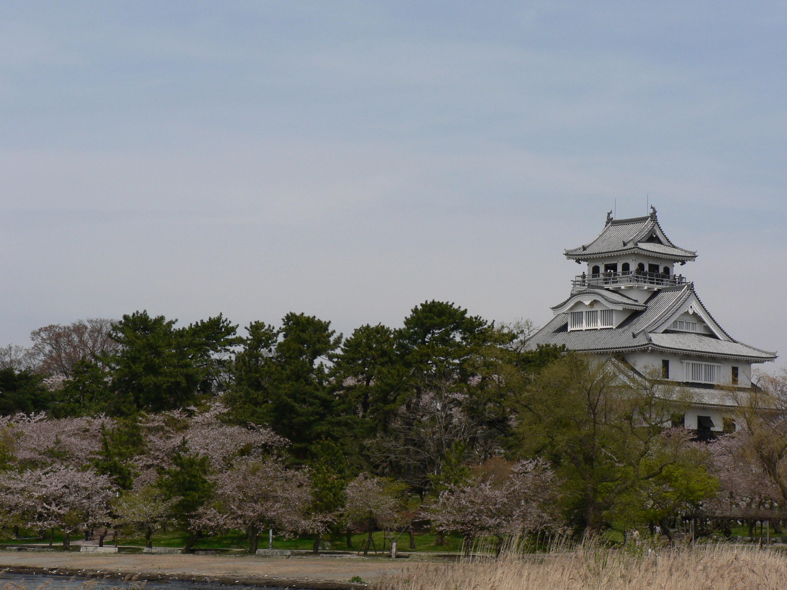 Chateau de Nagahama.

Nagahama Castle.