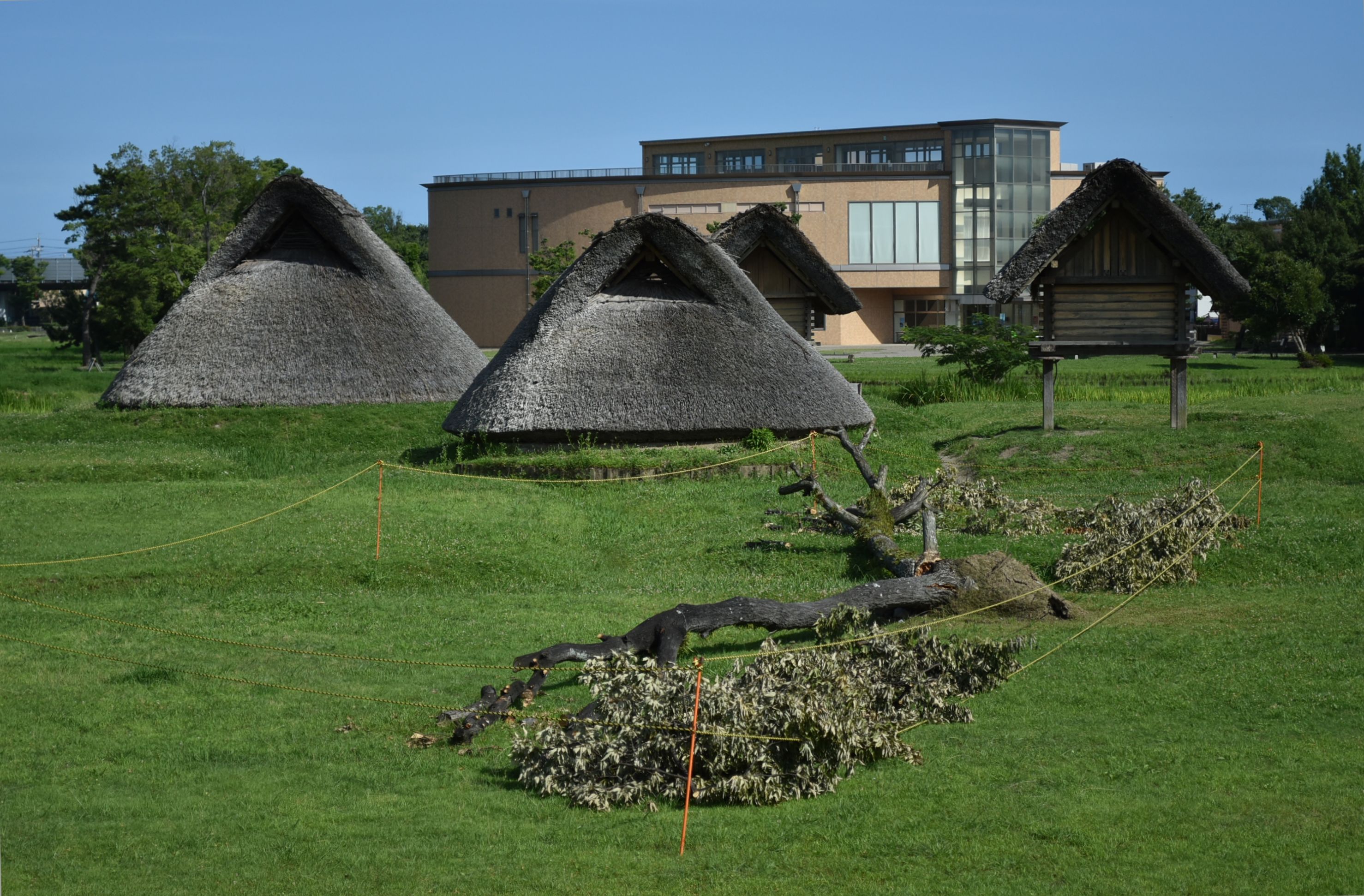 静岡市立登呂博物館