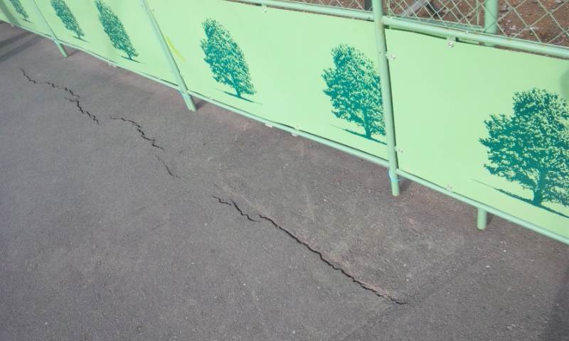 静岡県東部地震によって発生した静岡県函南町（震度４）での地割れの様子。函南町内では激しい横揺れがあり、屋根瓦が吹き飛ぶ、テレビアンテナが傾くなど家屋の一部損壊２棟などの被害を起こした