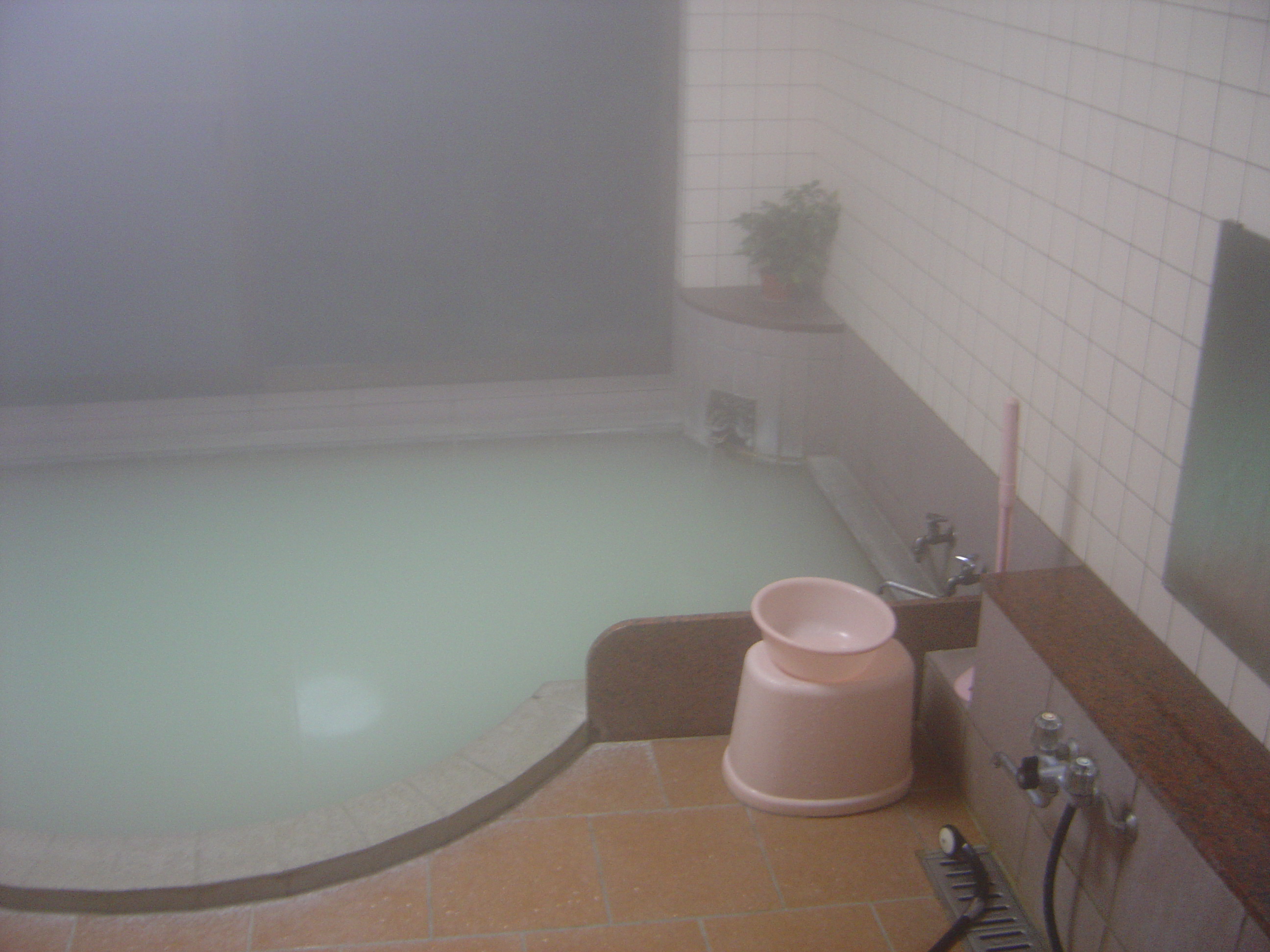 Bath in the Fuji-Hakone Guest House in Hakone, Japan