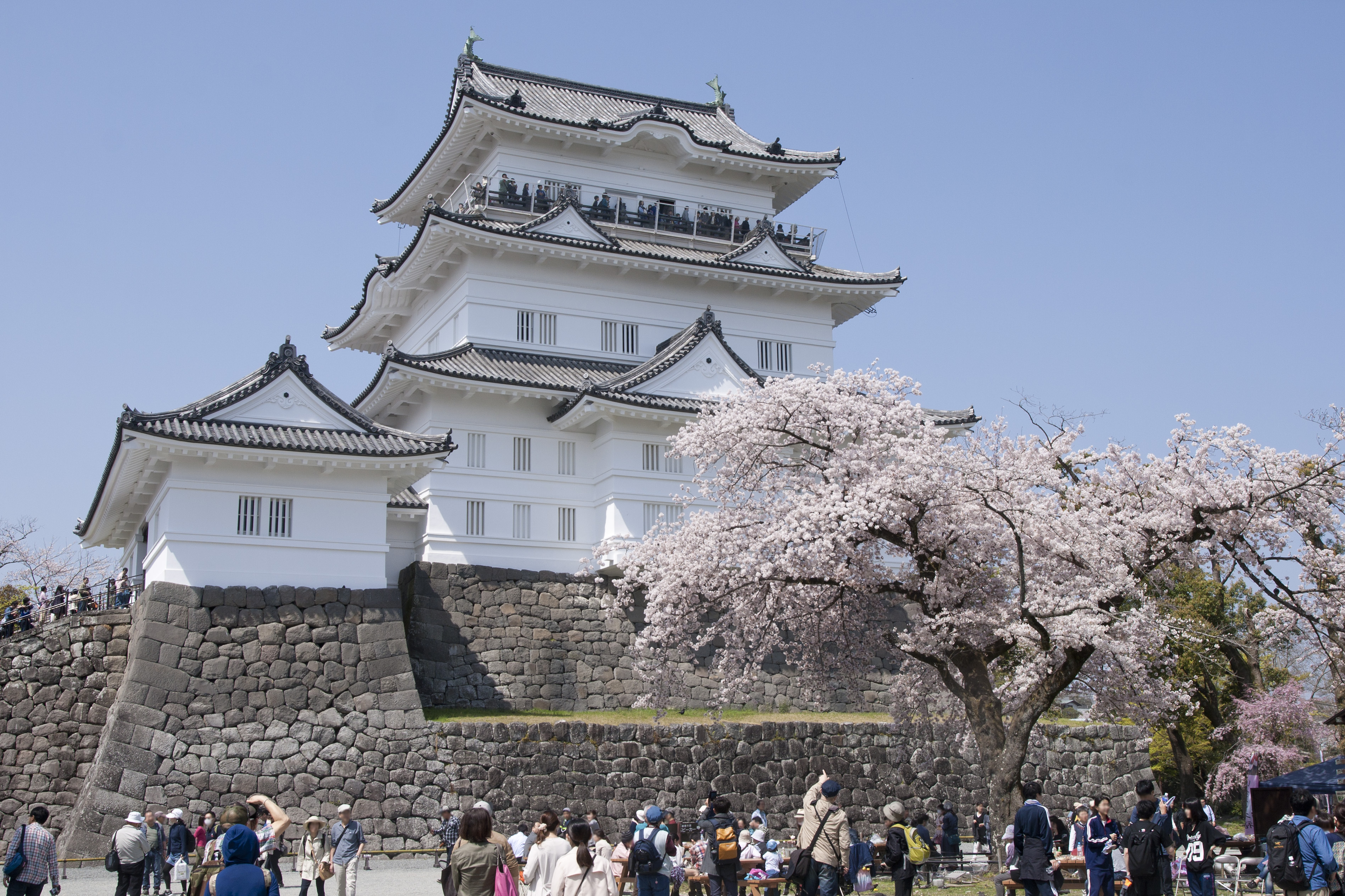Odawara Castle, Odawara City, Kanagawa Pref., Japan