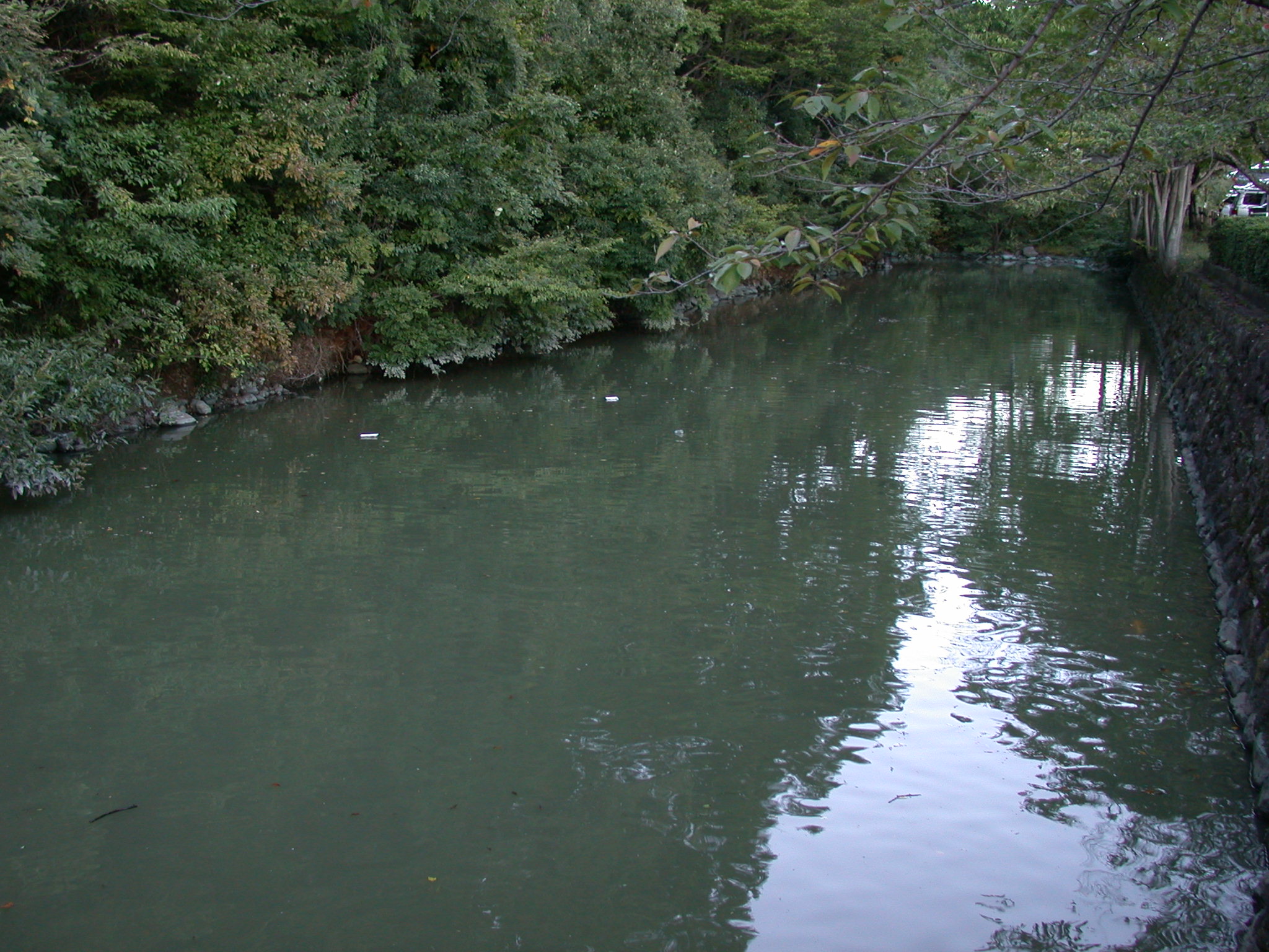 Tsutsujigasaki Castle Mizubori