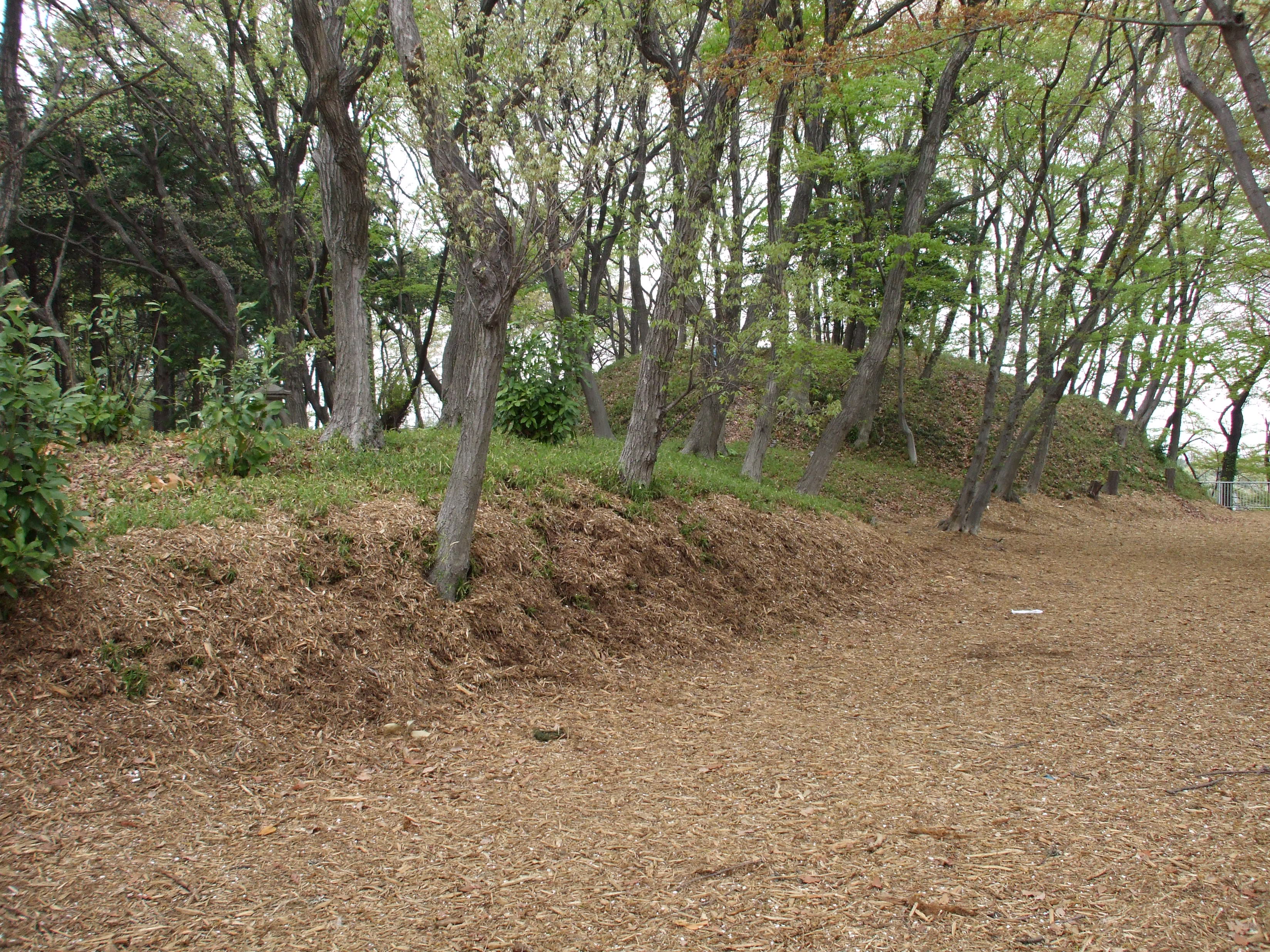 秋葉山古墳群第一号墳 Akibayama Kofun-gun, Ebina, Kanagawa, Japan