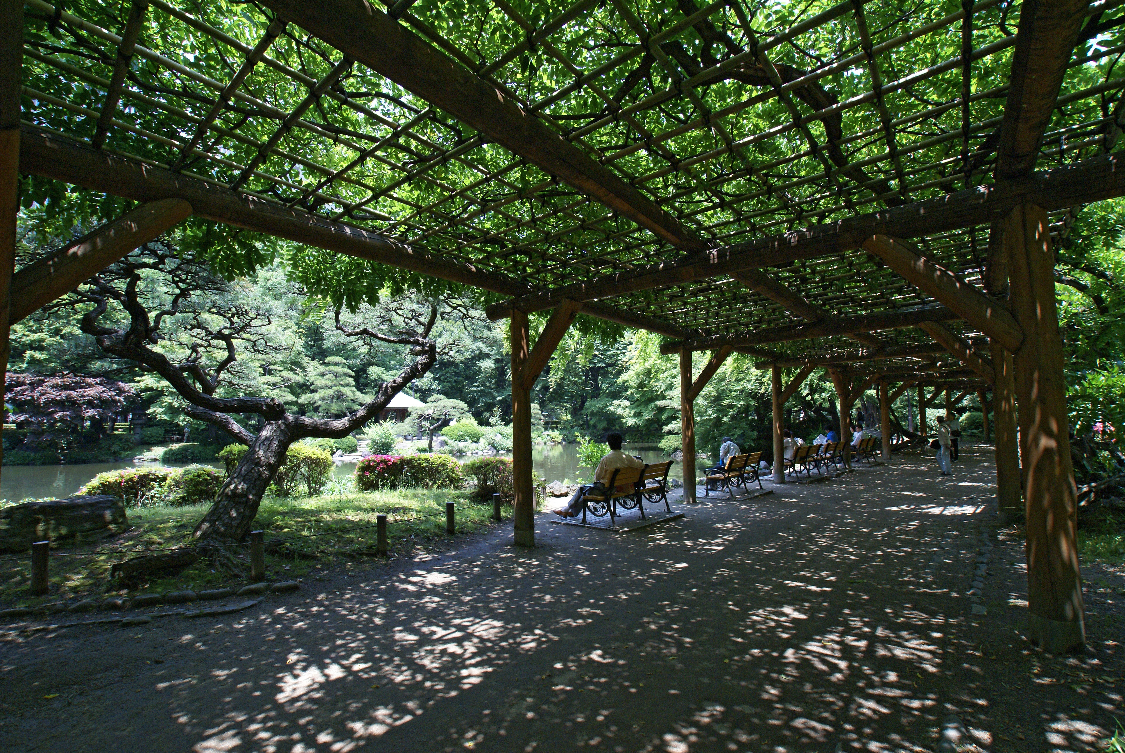 Hibiya Park in Chiyoda-ku, Tokyo, Japan