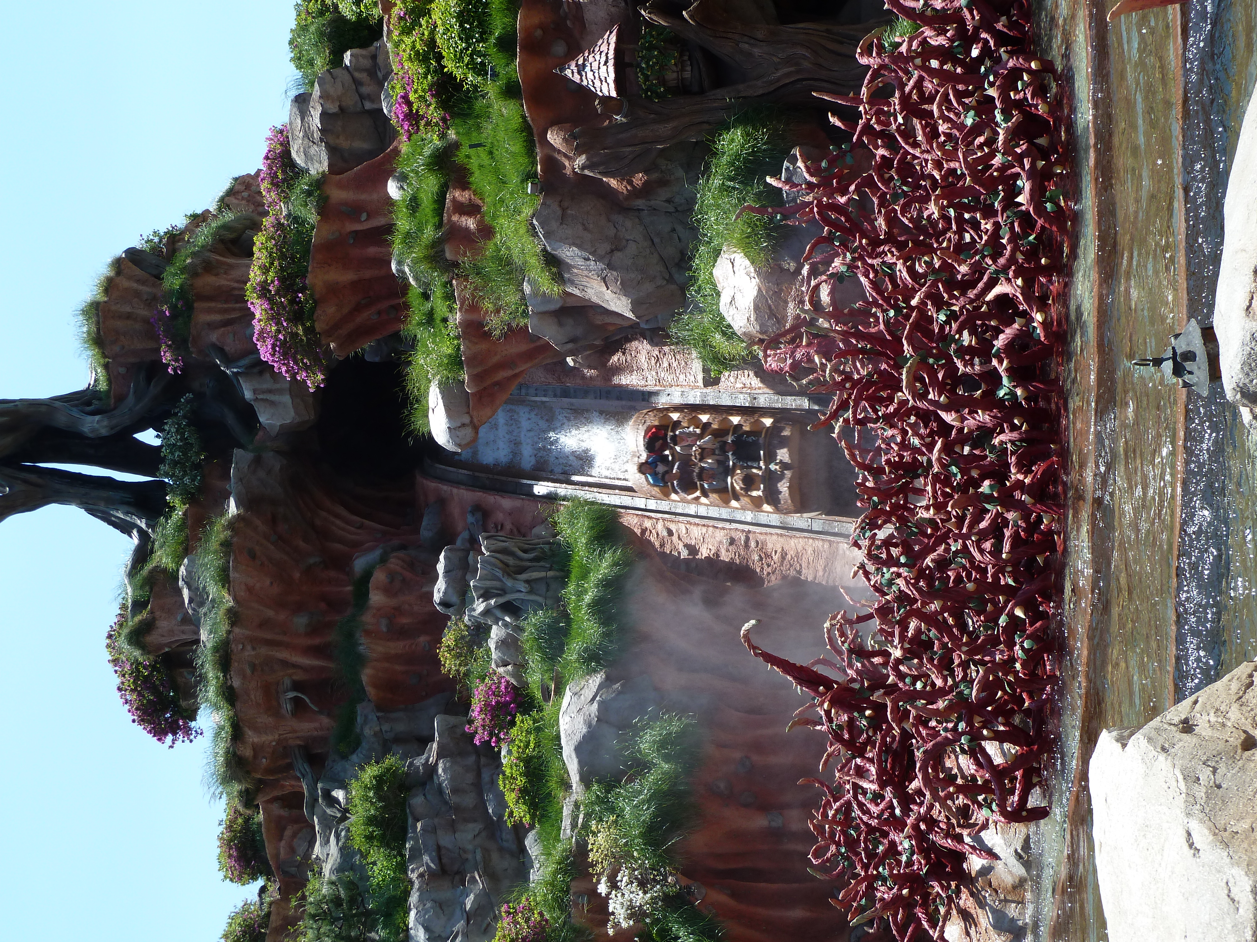 Splash Mountain, Tokyo Disneyland