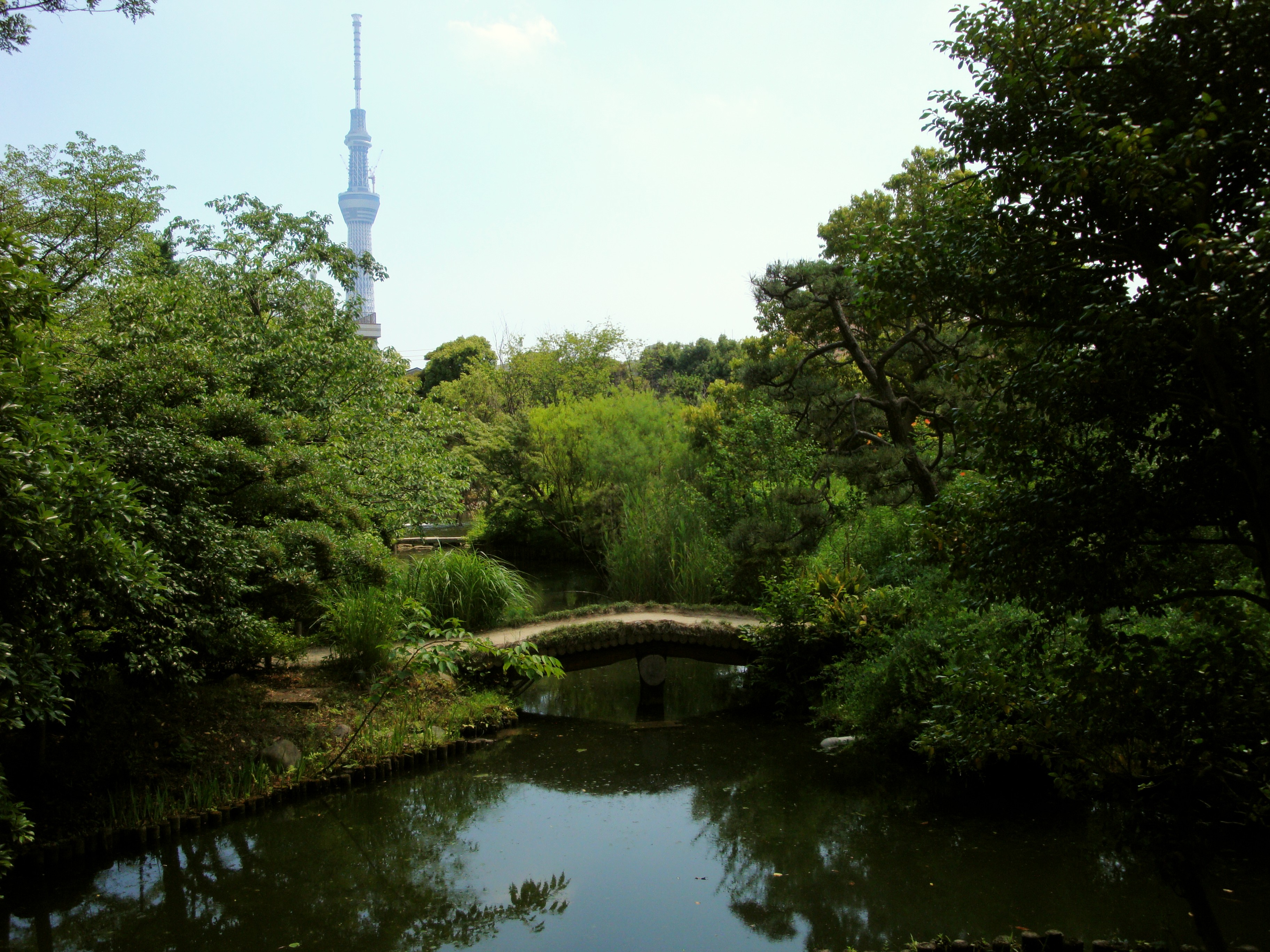 Mukojima-Hyakkaen Garden. Tokyo Sky Tree in the background.