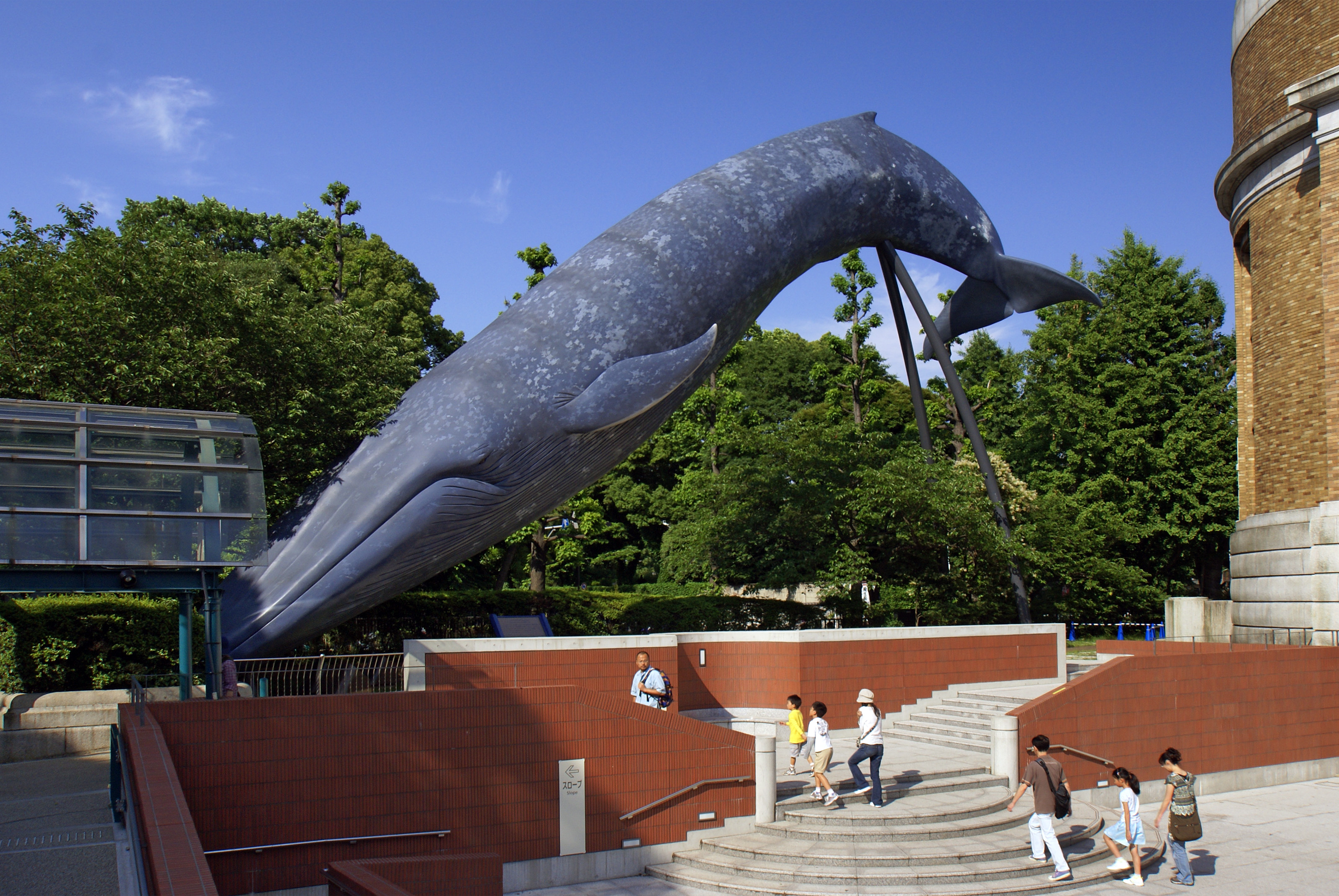 National Museum of Nature and Science, Taito-ku, Tokyo, Japan