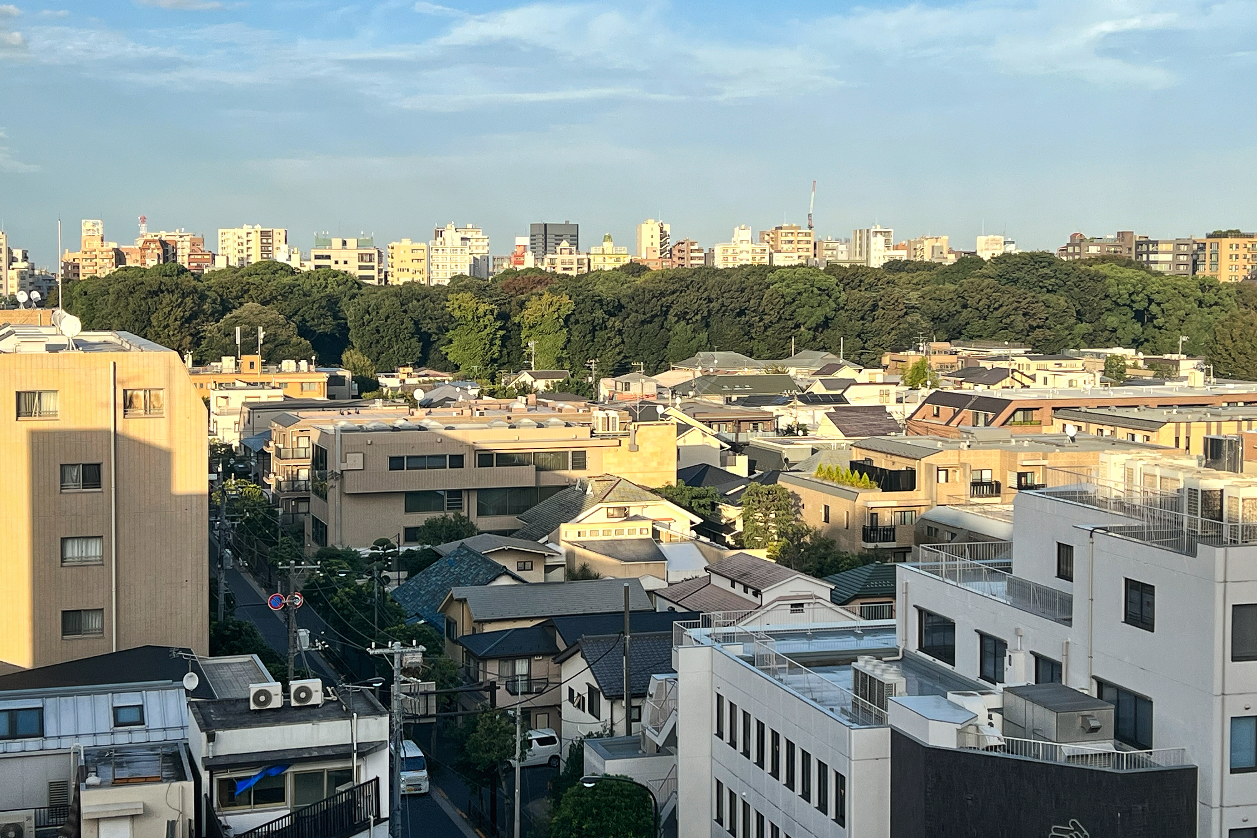 日本东京,文京区本駒込6丁目及六義園(图中绿地)部分天际线。